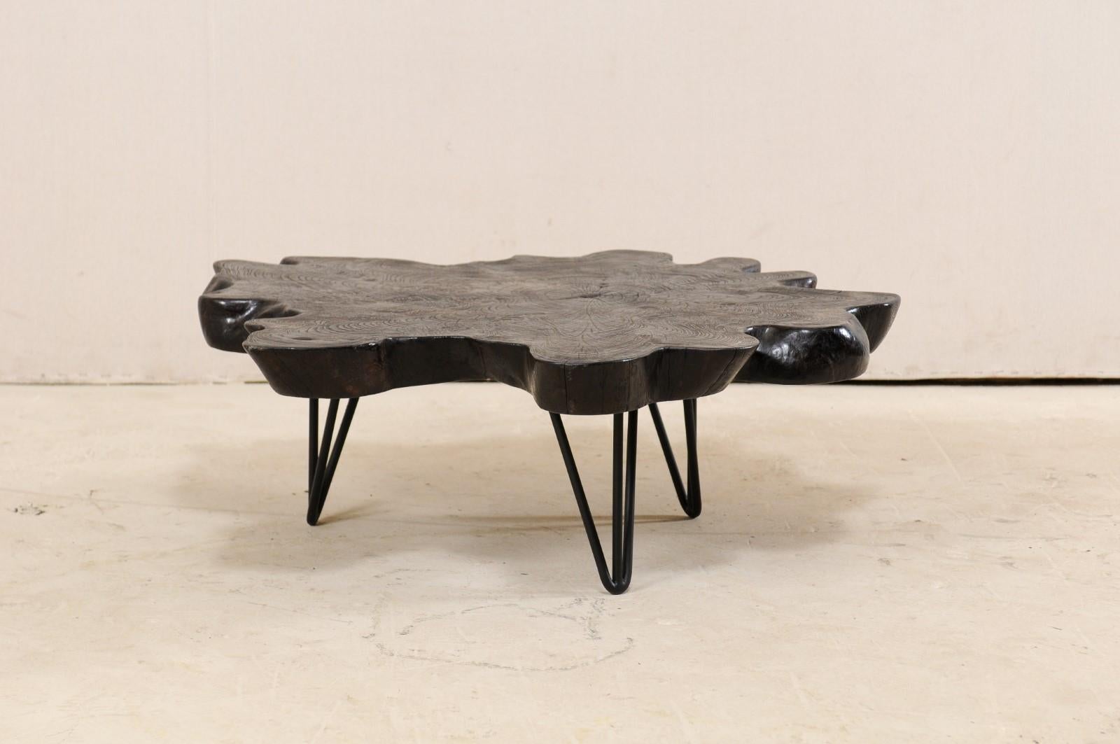 A custom teak slab coffee table with iron base. This rustic yet chic coffee table has been fashioned from a beautifully shaped piece of teak wood slab which has been presented upon three iron legs, with open triangular shapes. The wood has been
