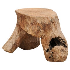 A Cute Wooden Stump Petite Drinks Table