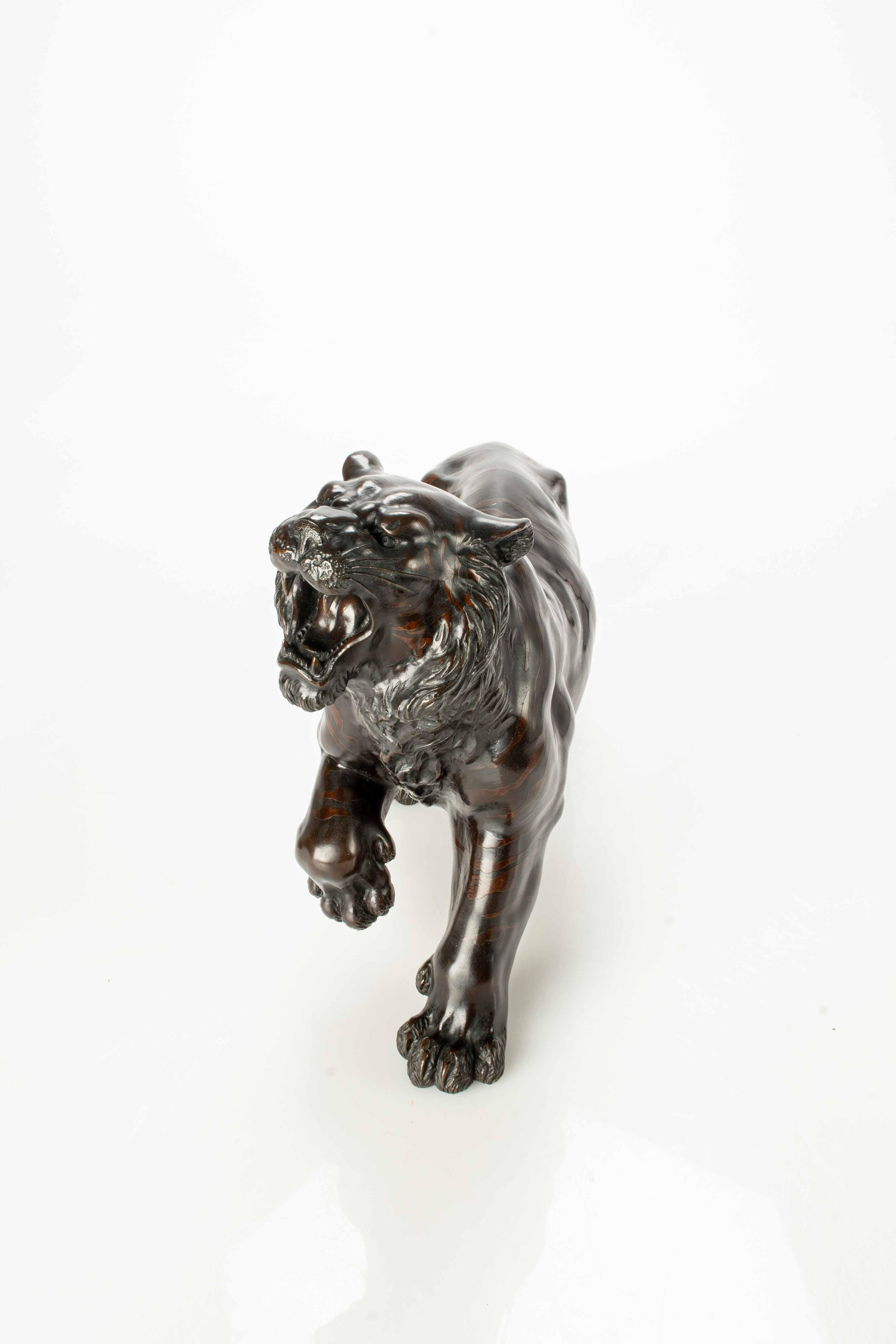 Dark patina bronze okimono depicting the study of a powerful tiger in an unusual position.

The animal's posture is engaging with the paw raised and the tail curled upwards along the end. The streaks of the fur are highlighted with a marked