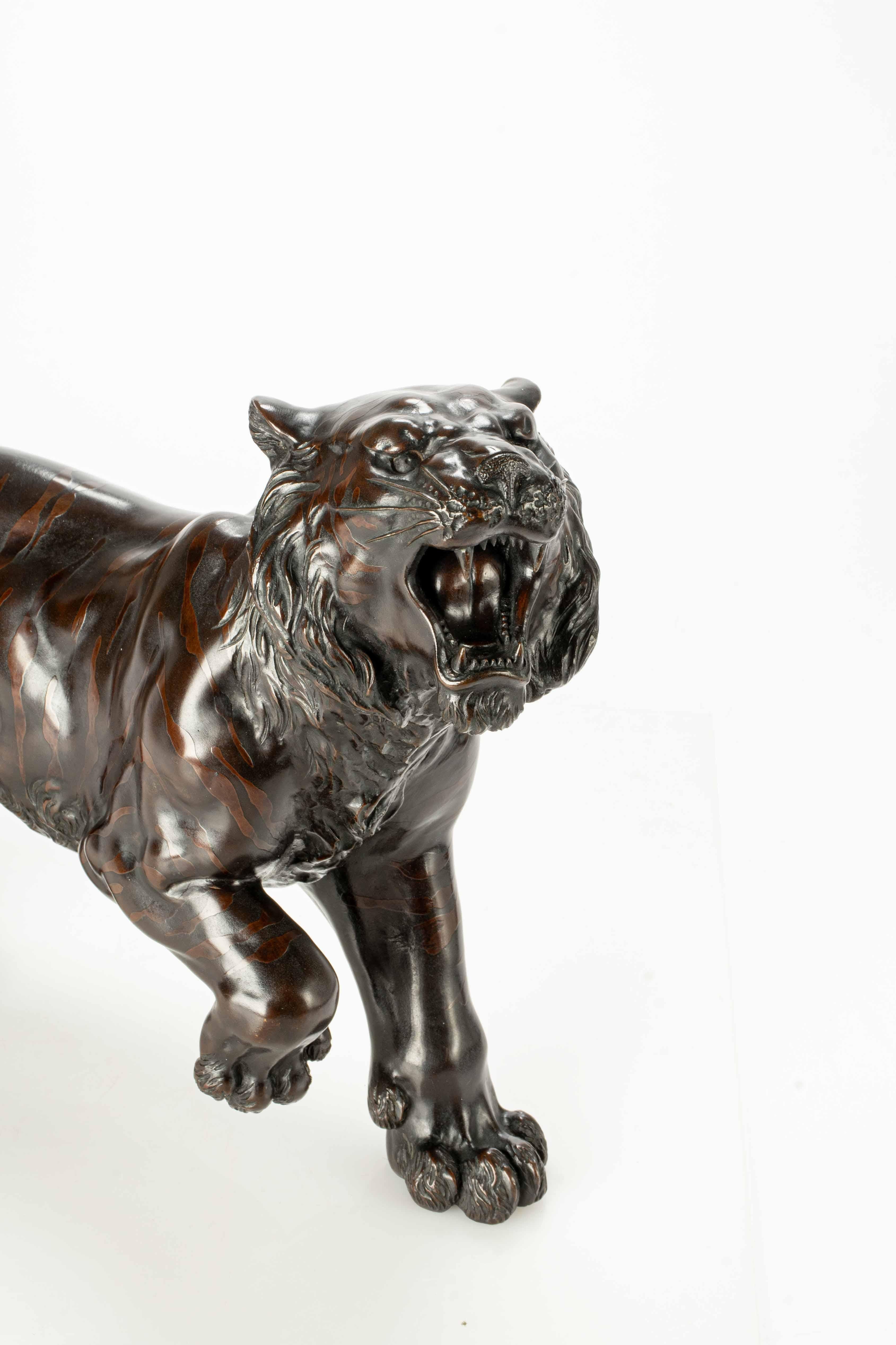 Metalwork A dark patina bronze okimono depicting the study of a powerful tiger 