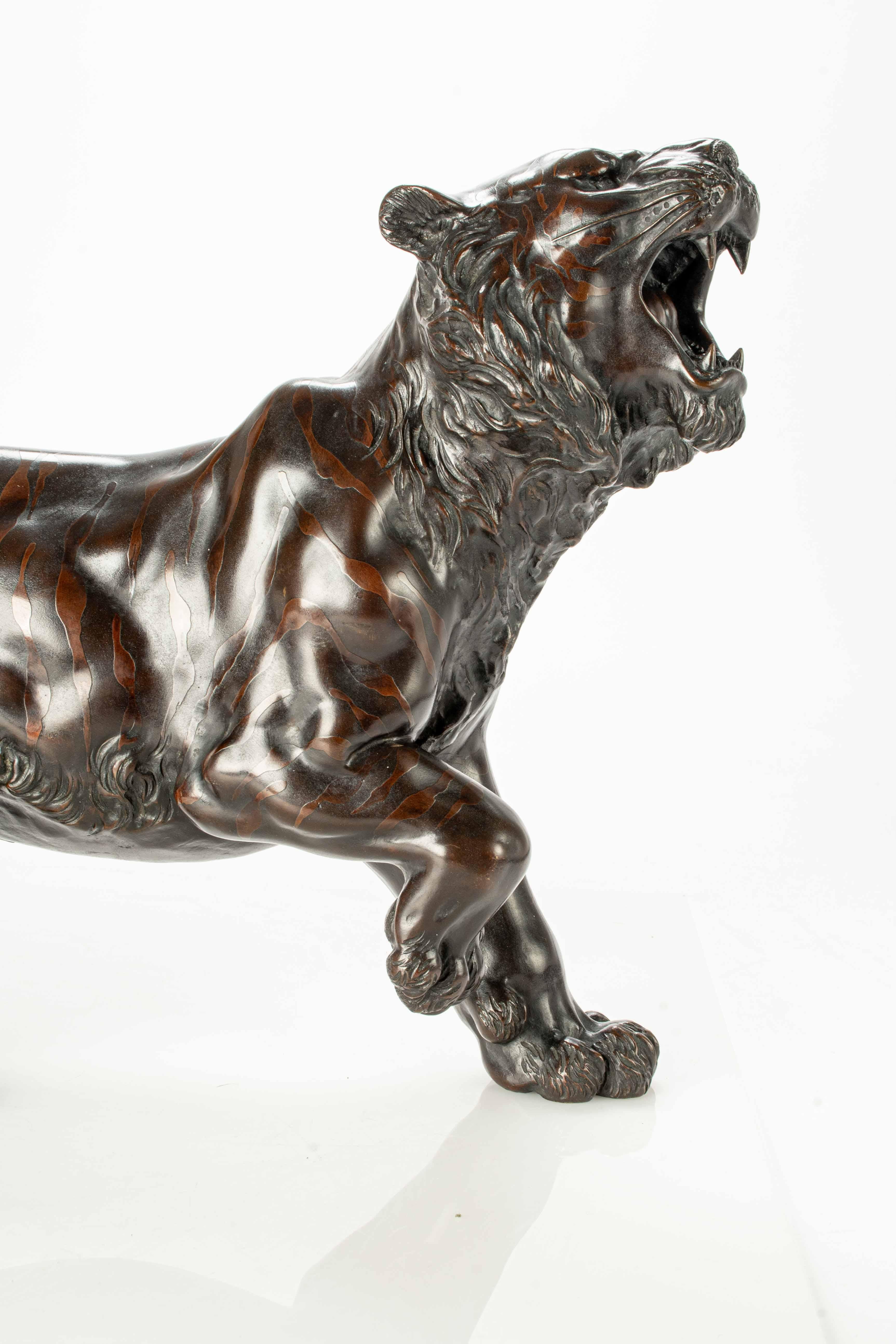 A dark patina bronze okimono depicting the study of a powerful tiger  1