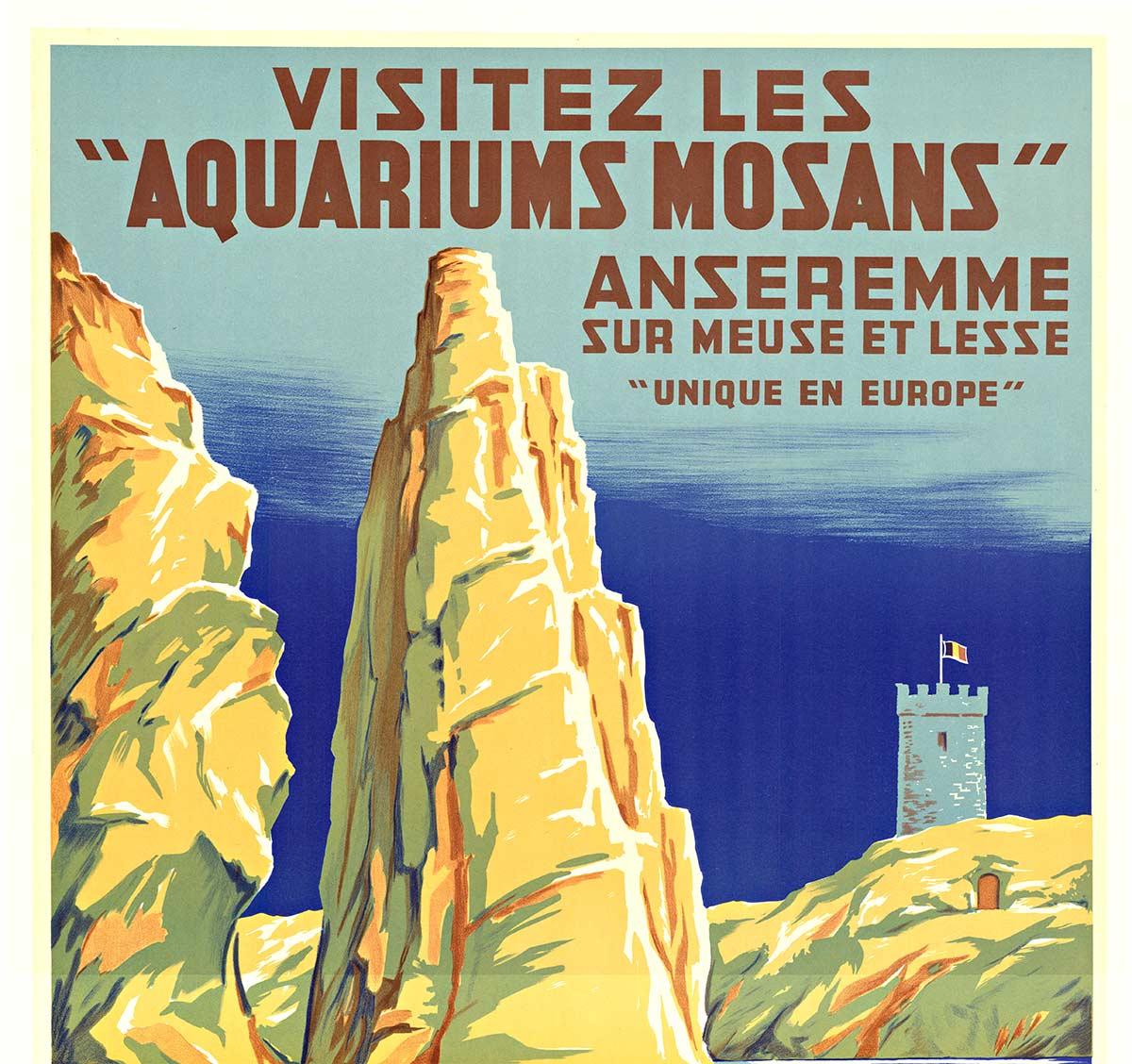 Poster vintage originale Visitez Les Aquariums Mosans - Print di A. De Loof