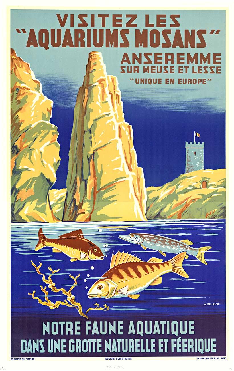 Affiche vintage Visitez Les Aquariums Mosans