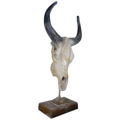 Decorative 20th Century Faux Buffalo Skull Sculpture Art