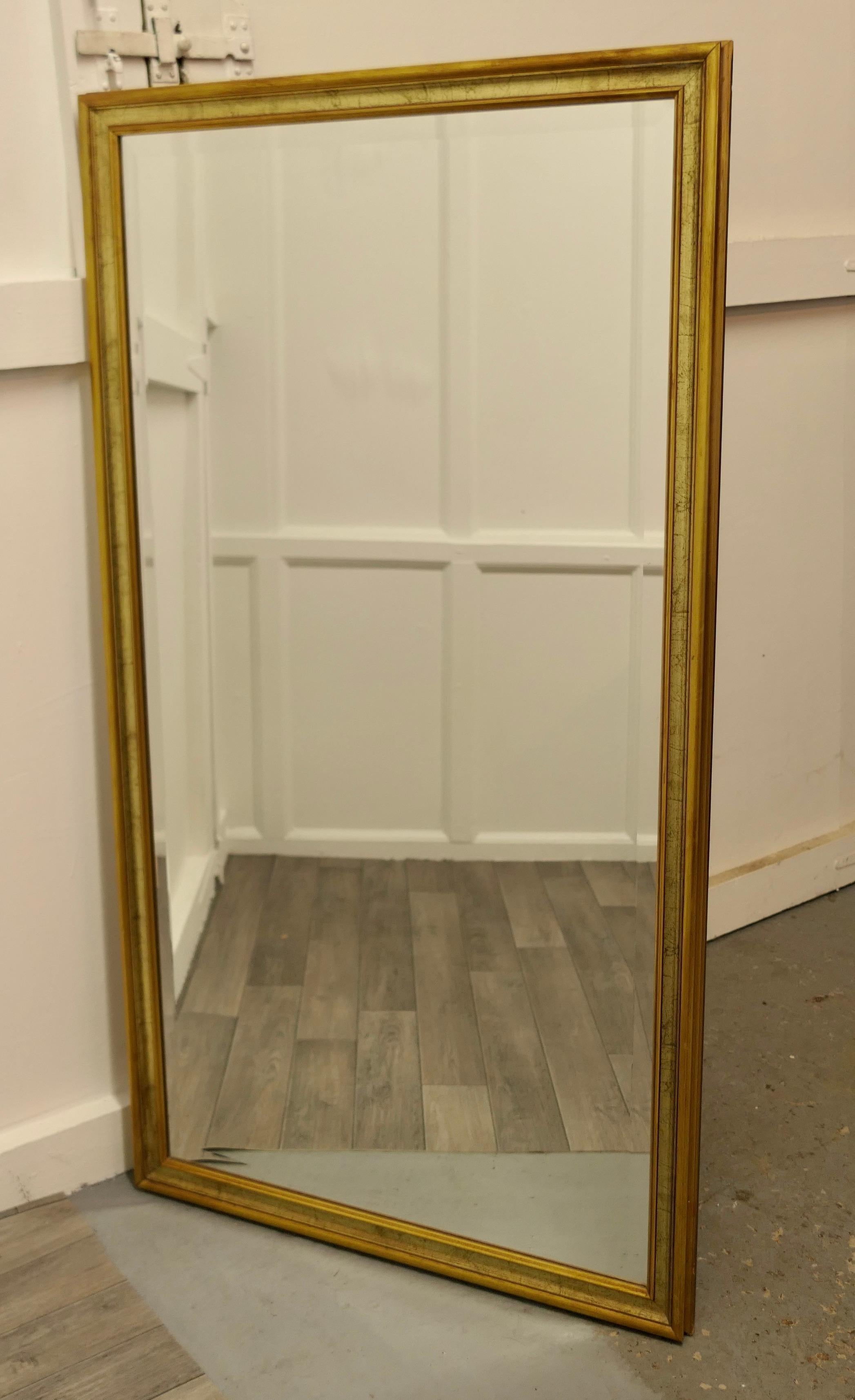 A decorative long gilt dressing mirror.

A delightful piece, the mirror has a 2” wide gilt moulded frame in tones of gold, the bevelled looking glass is in good and in unblemished condition. 
A good decorative piece.
The frame is 53” high and