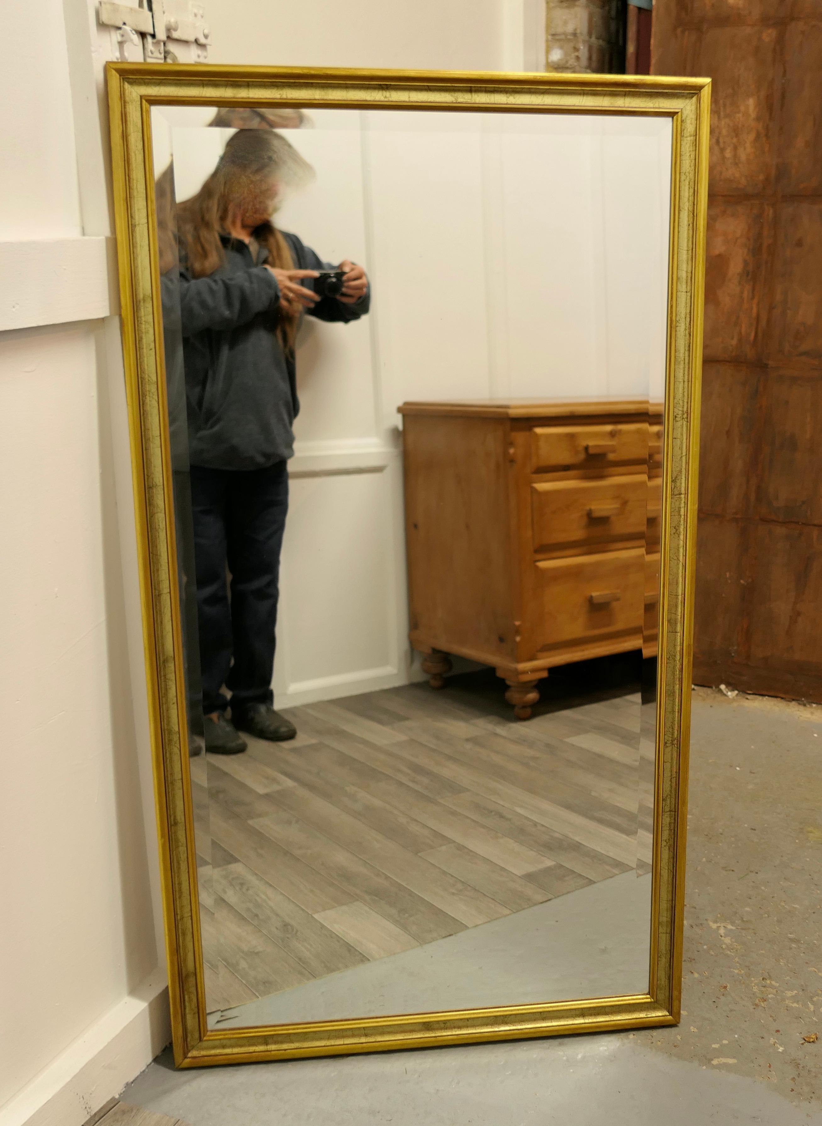 long dressing mirror