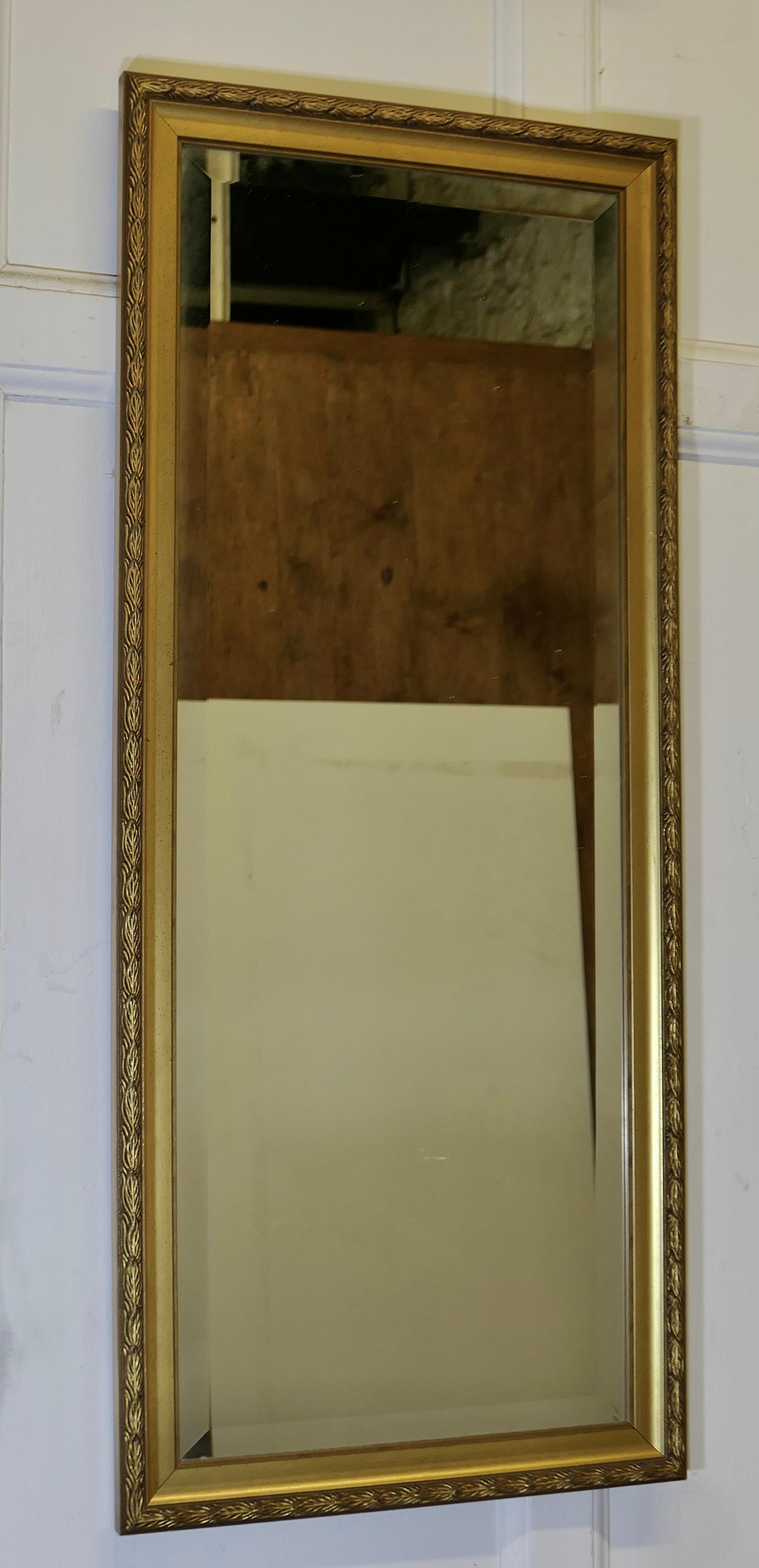 Un long miroir décoratif étroit et doré

Une pièce charmante, le miroir a un cadre moulé doré de 1,5
