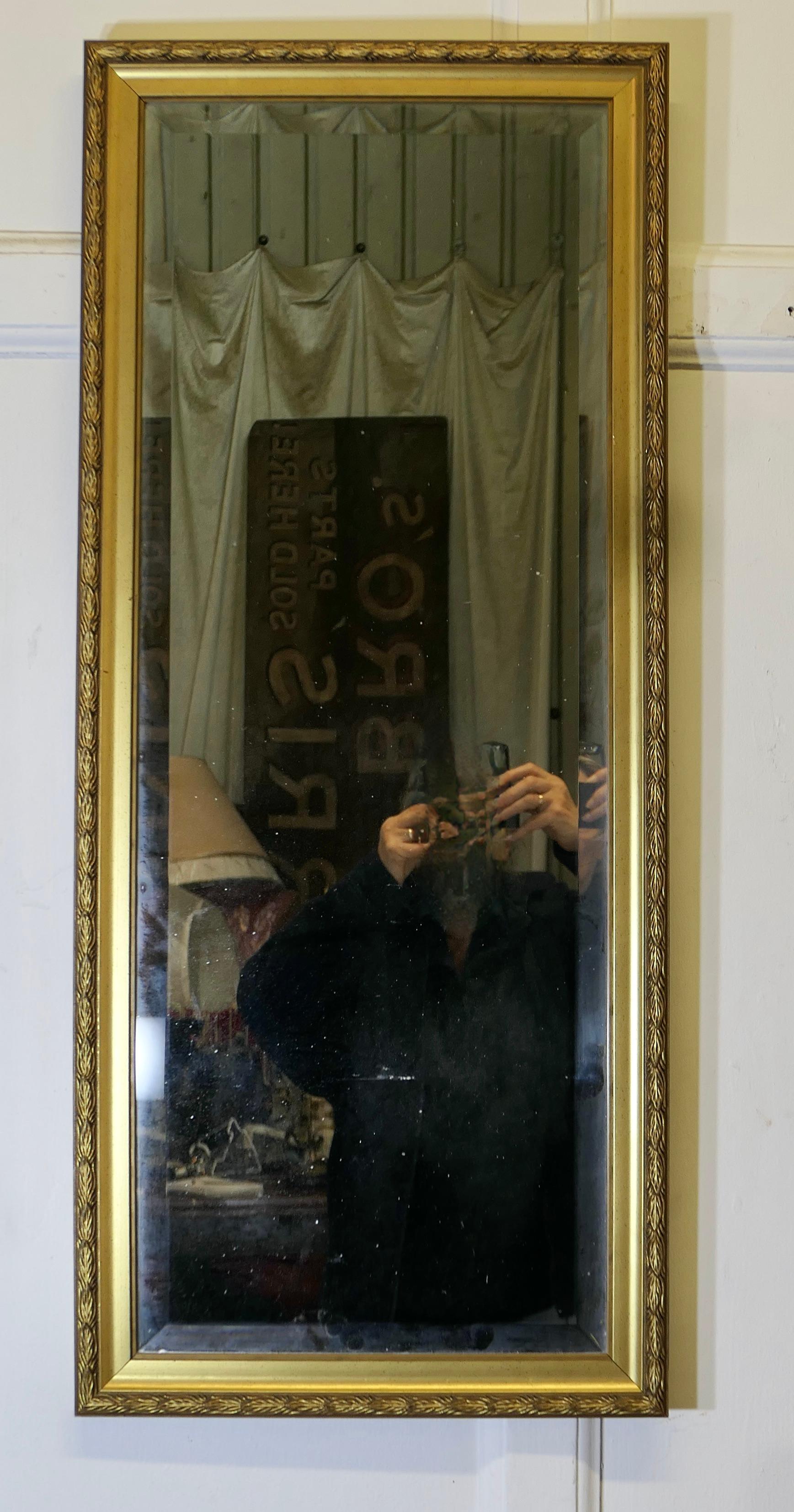 Style Adam Un long miroir décoratif étroit et doré  Une pièce délicieuse, le miroir a en vente