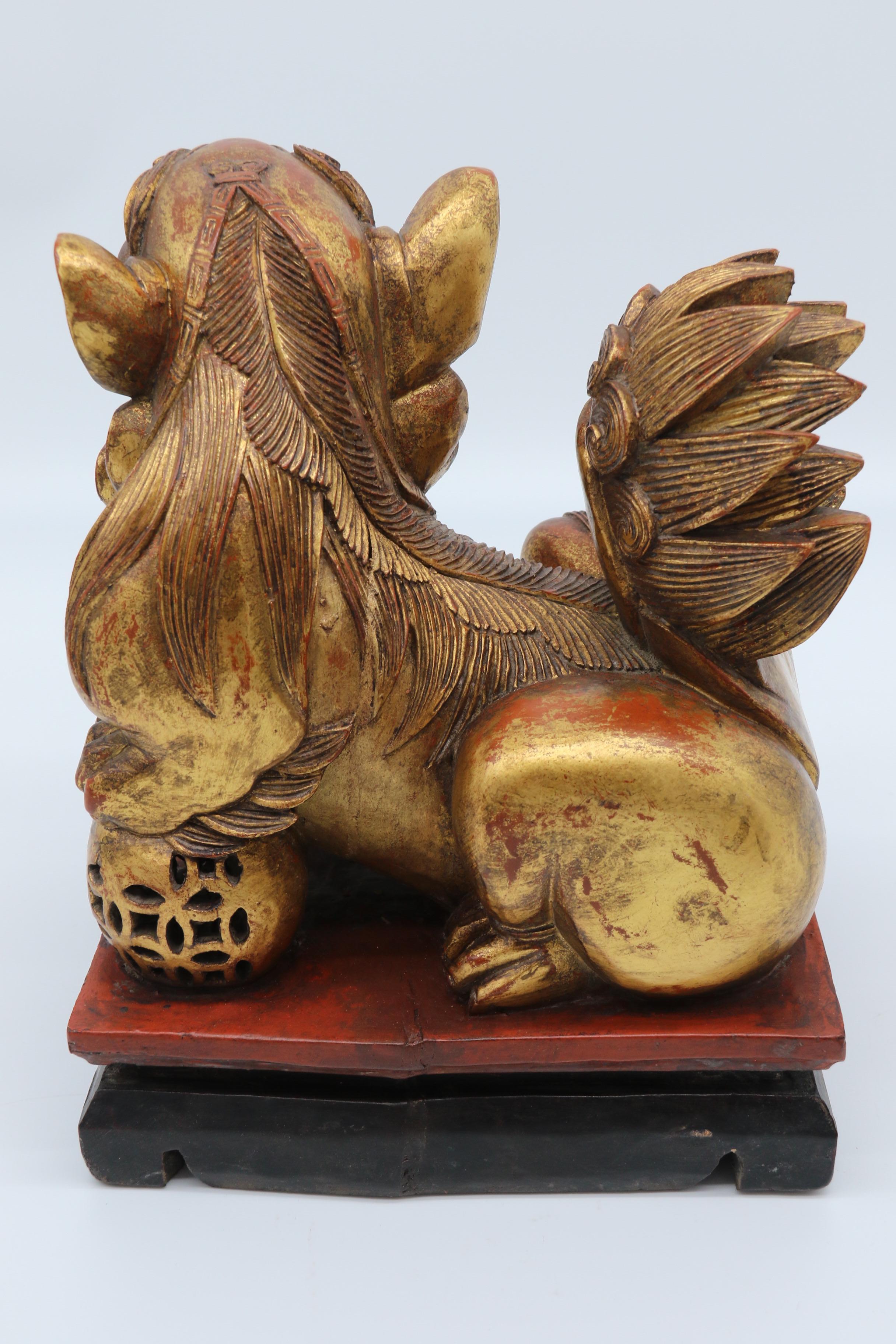 Paire de lions bouddhistes chinois sculptés en bois doré et laqué, vers 1900 en vente 6
