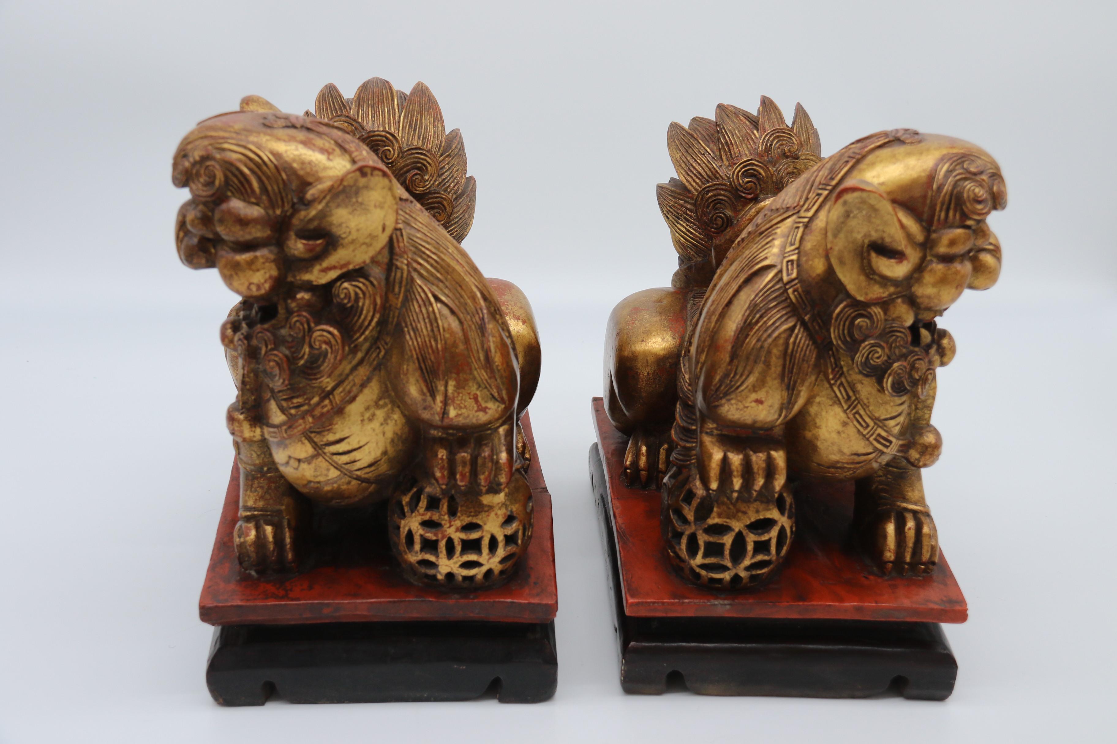 Une très belle paire de lions bouddhistes chinois sculptés à la main, l'un gaucher et l'autre droitier, sur des socles rectangulaires à gradins, tous sculptés dans la même section de bois. Ils se tiennent tous deux dans la position traditionnelle,