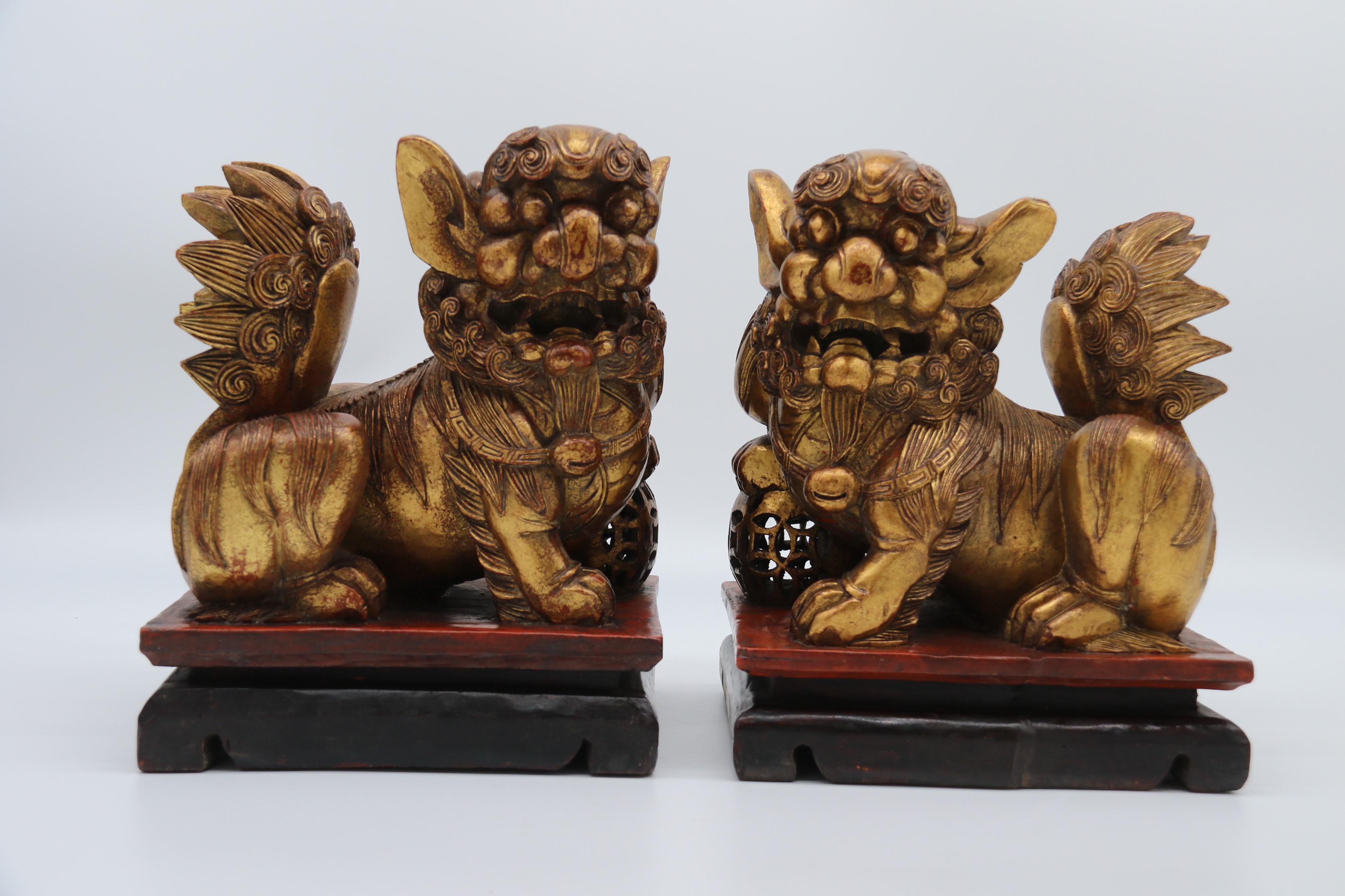 Bois doré Paire de lions bouddhistes chinois sculptés en bois doré et laqué, vers 1900 en vente