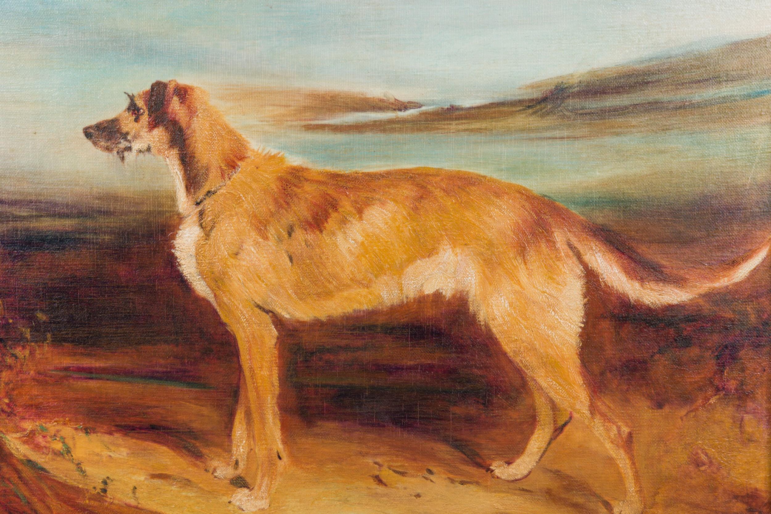 American A Deerhound in a Landscape Dog Portrait For Sale