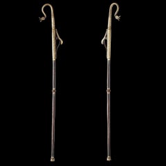 A ‘Dervish’s’ Sword Stick