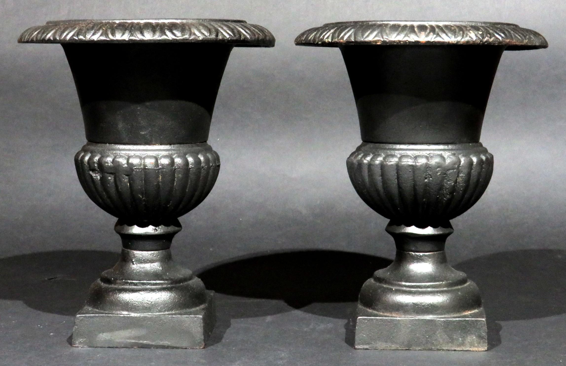 Une très belle paire de petites urnes de jardin / de table en fonte de style géorgien. 
Les deux urnes, de forme Campagna, sont fixées sur des bases carrées et s'élèvent jusqu'à des bords évasés décorés de détails moulés classiques en forme d'œuf et