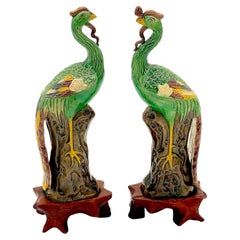 Antique A Diminutive Pair of Chinese Sancai Glazed Phoenix Birds, on Hardwood Stands 