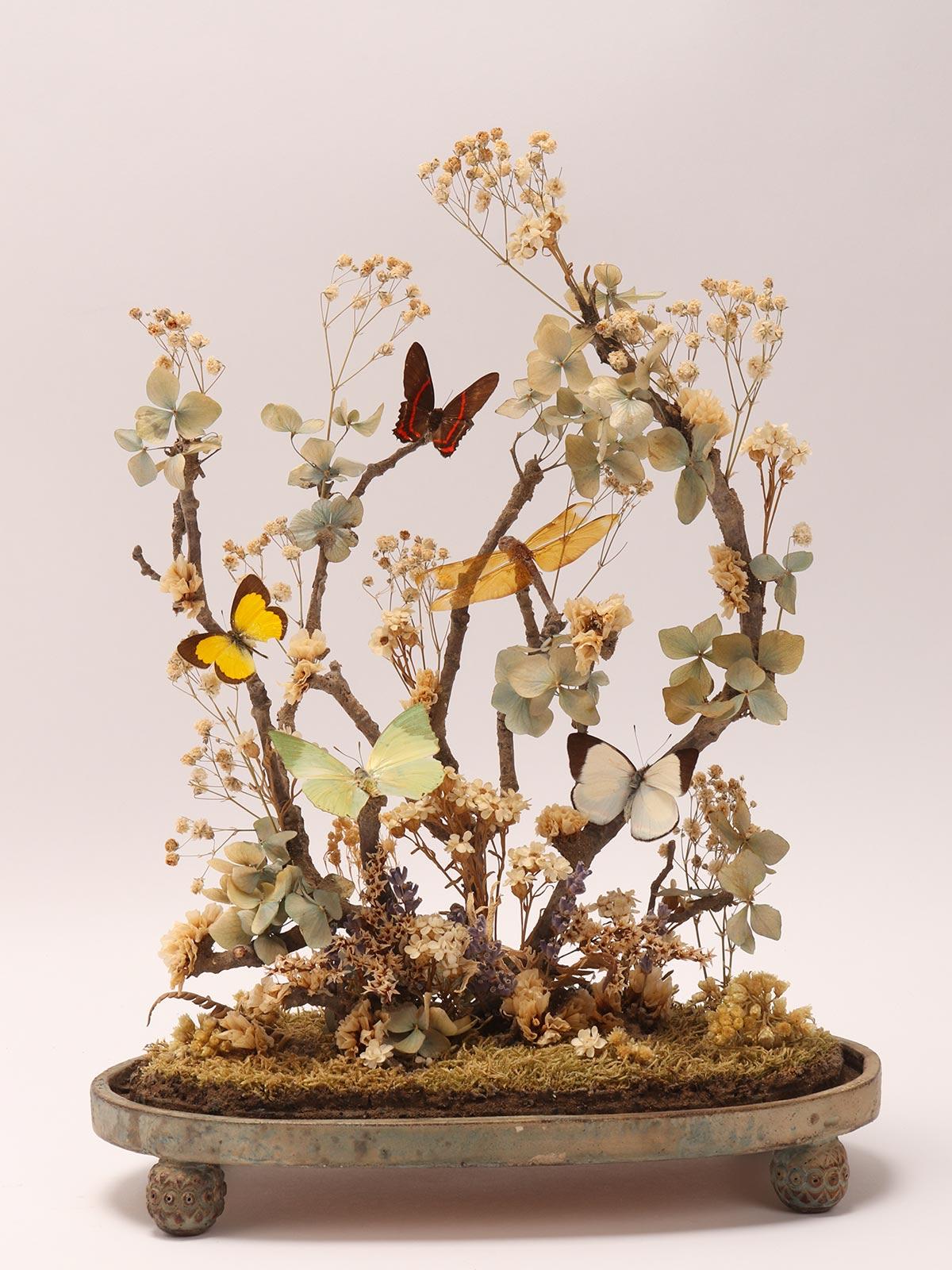 Diorama with Butterflies and Flowers, Italy 1870 1
