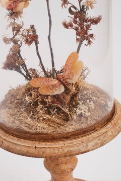 Diorama with Butterflies and Flowers, Italy, 1870