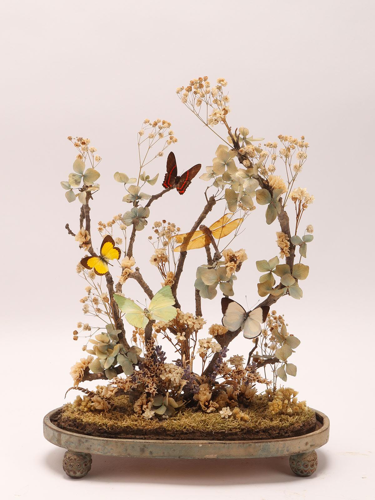 Italian Diorama with Butterflies and Flowers, Italy 1870