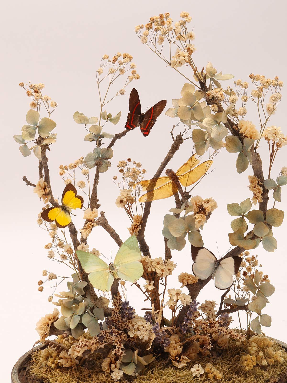 Diorama with Butterflies and Flowers, Italy 1870 In Excellent Condition In Milan, IT