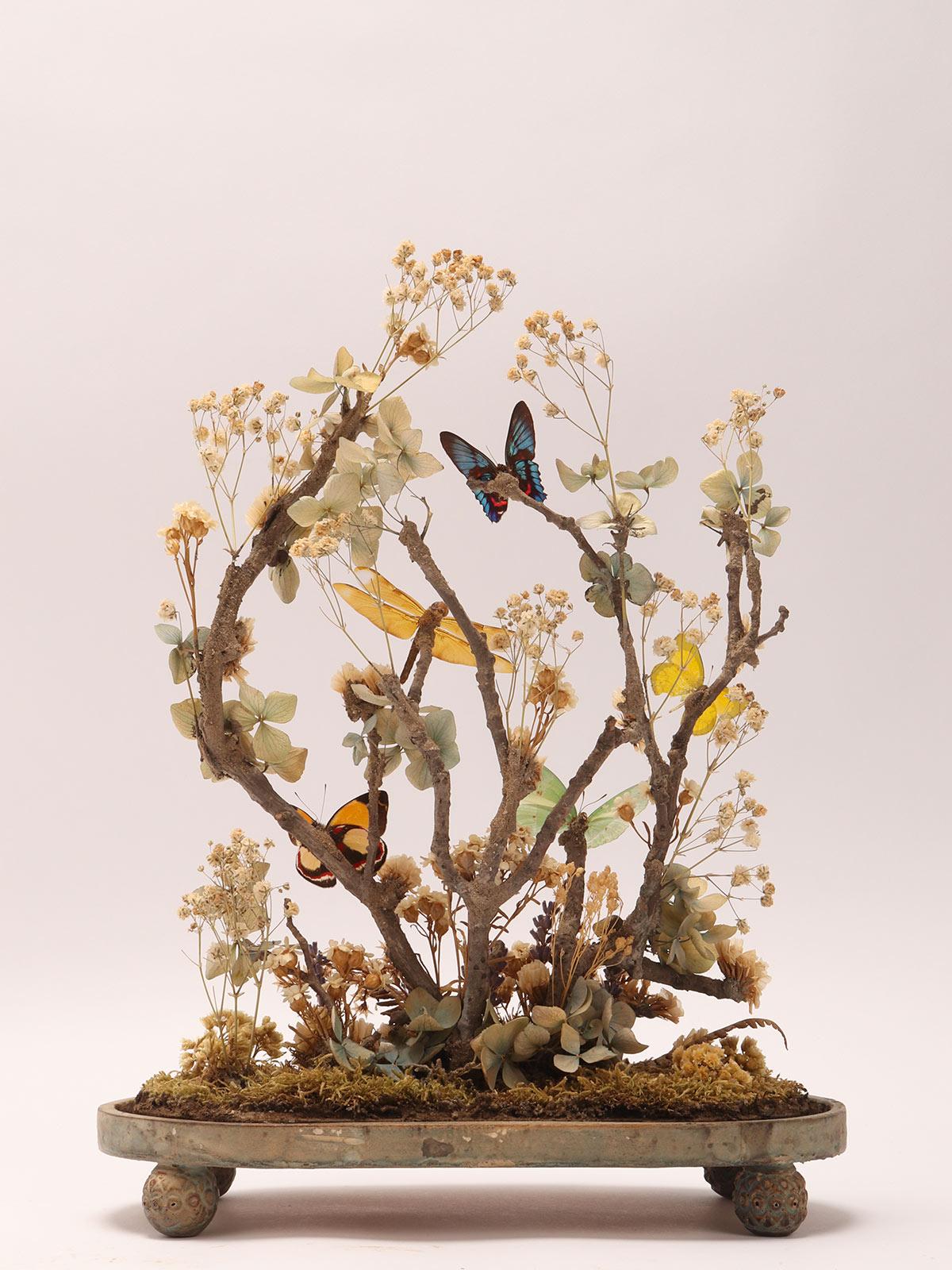 Mid-19th Century Diorama with Butterflies and Flowers, Italy 1870