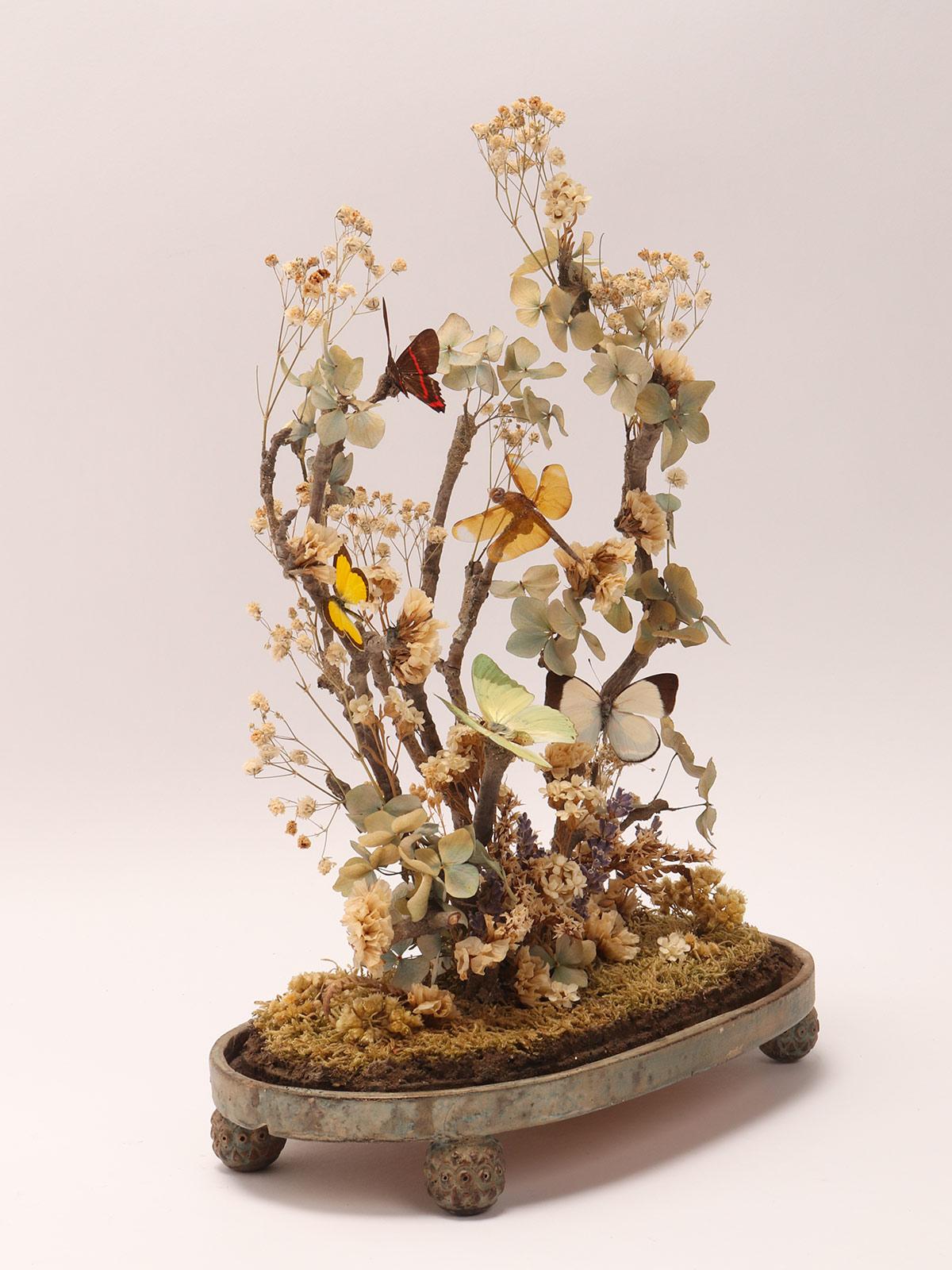 Animal Skin Diorama with Butterflies and Flowers, Italy 1870