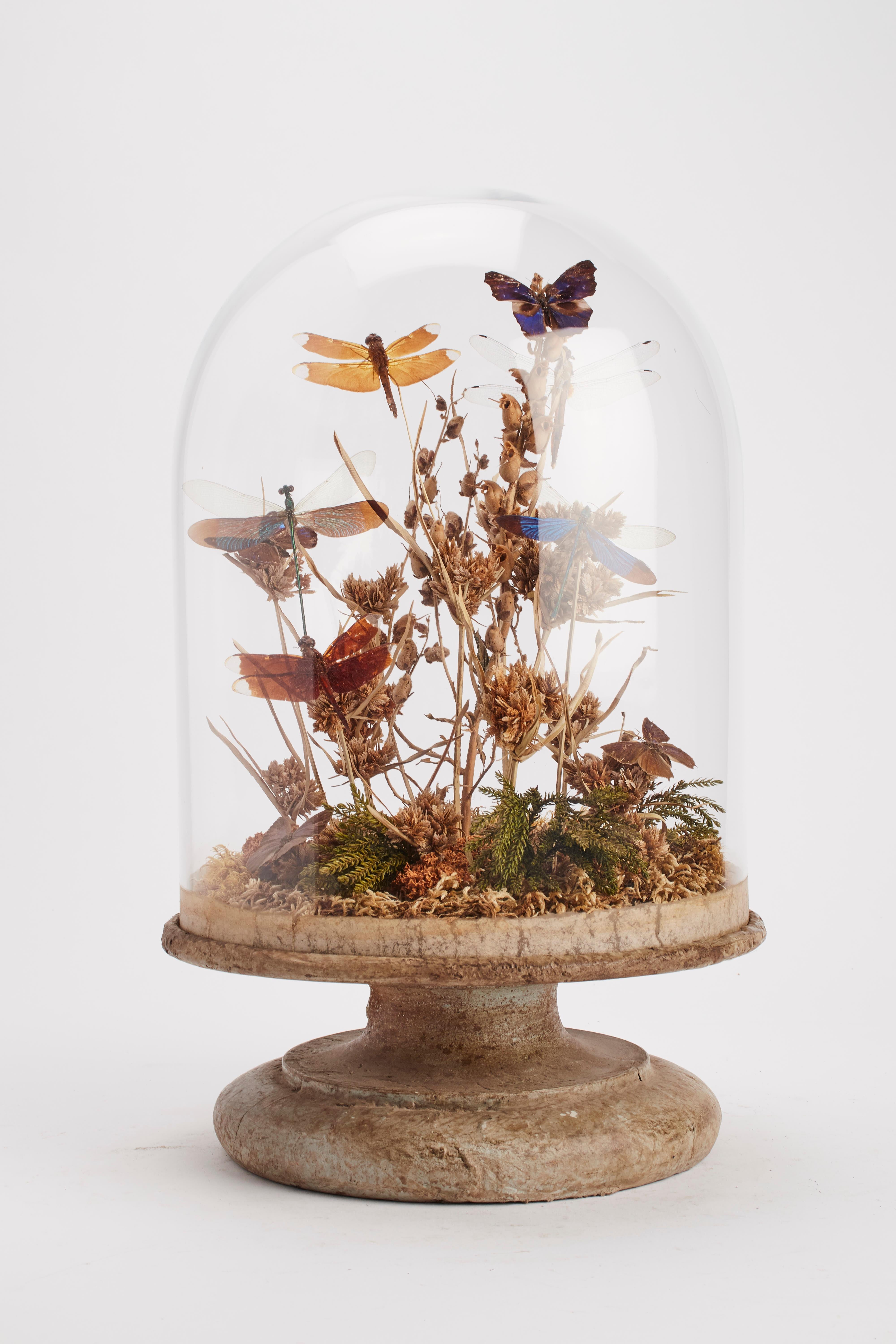 A Diorama with natural Wunderkammer specimens of butterflies and dragonflies leaned over a tree branch willing over moss the specimens are mounted inside an oval glass dome over a blue-gray painted wooden base, Italy, 1870.