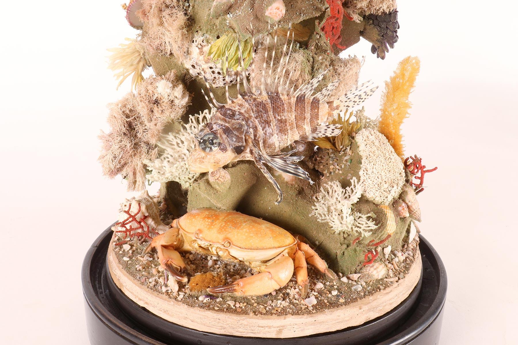 Glass A diorama with fishes, Italy 1870.  For Sale