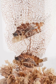 Diorama with Two Decoy Fishes, Italy, 1870