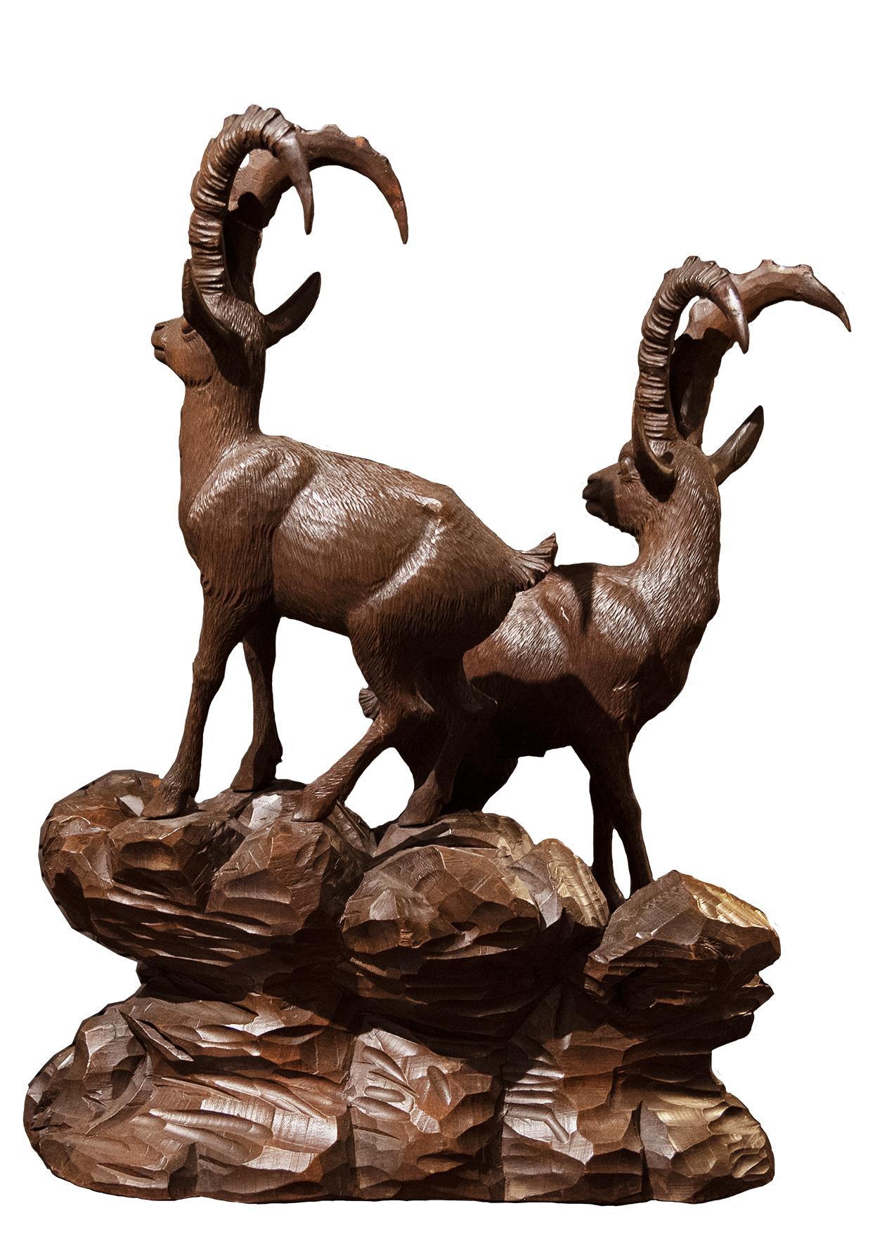 ibex for sale