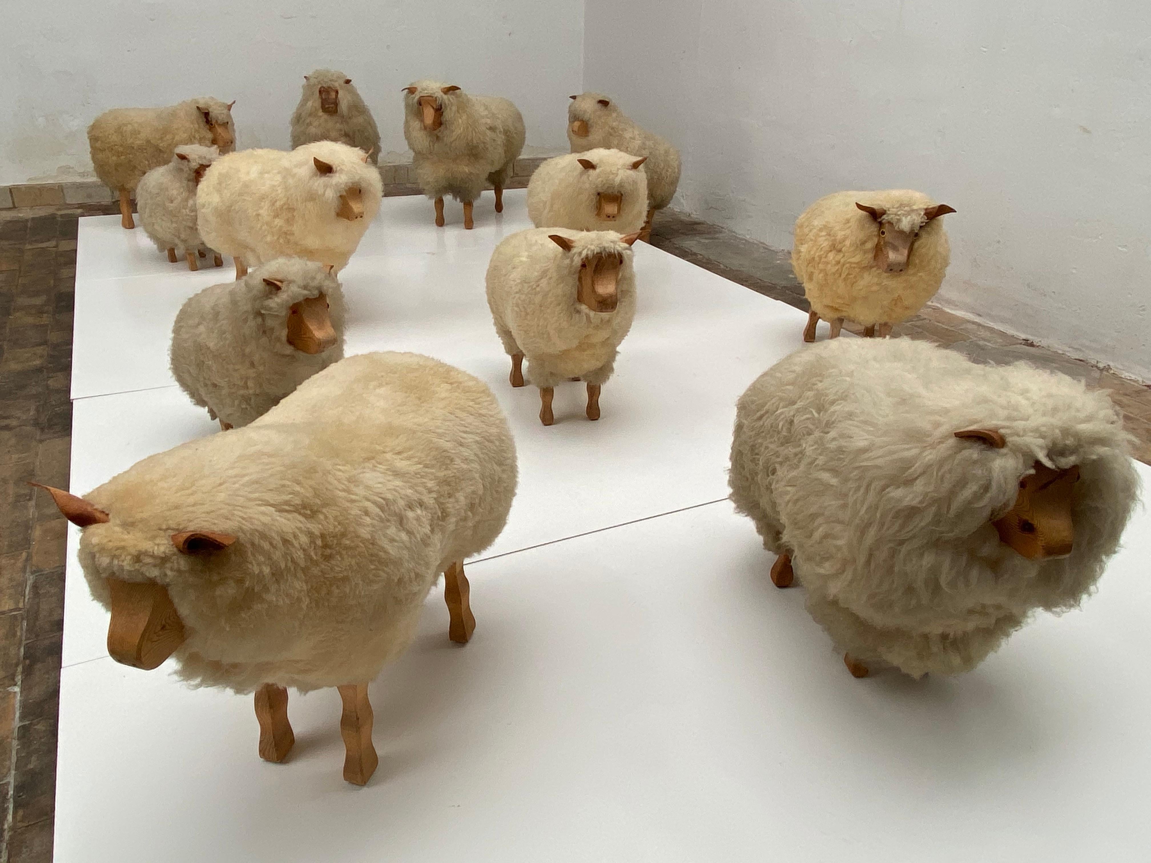Dozen of Sheep Midcentury Genuine Sheep Wool and Carved Pinewood, Germany, 1970s 6
