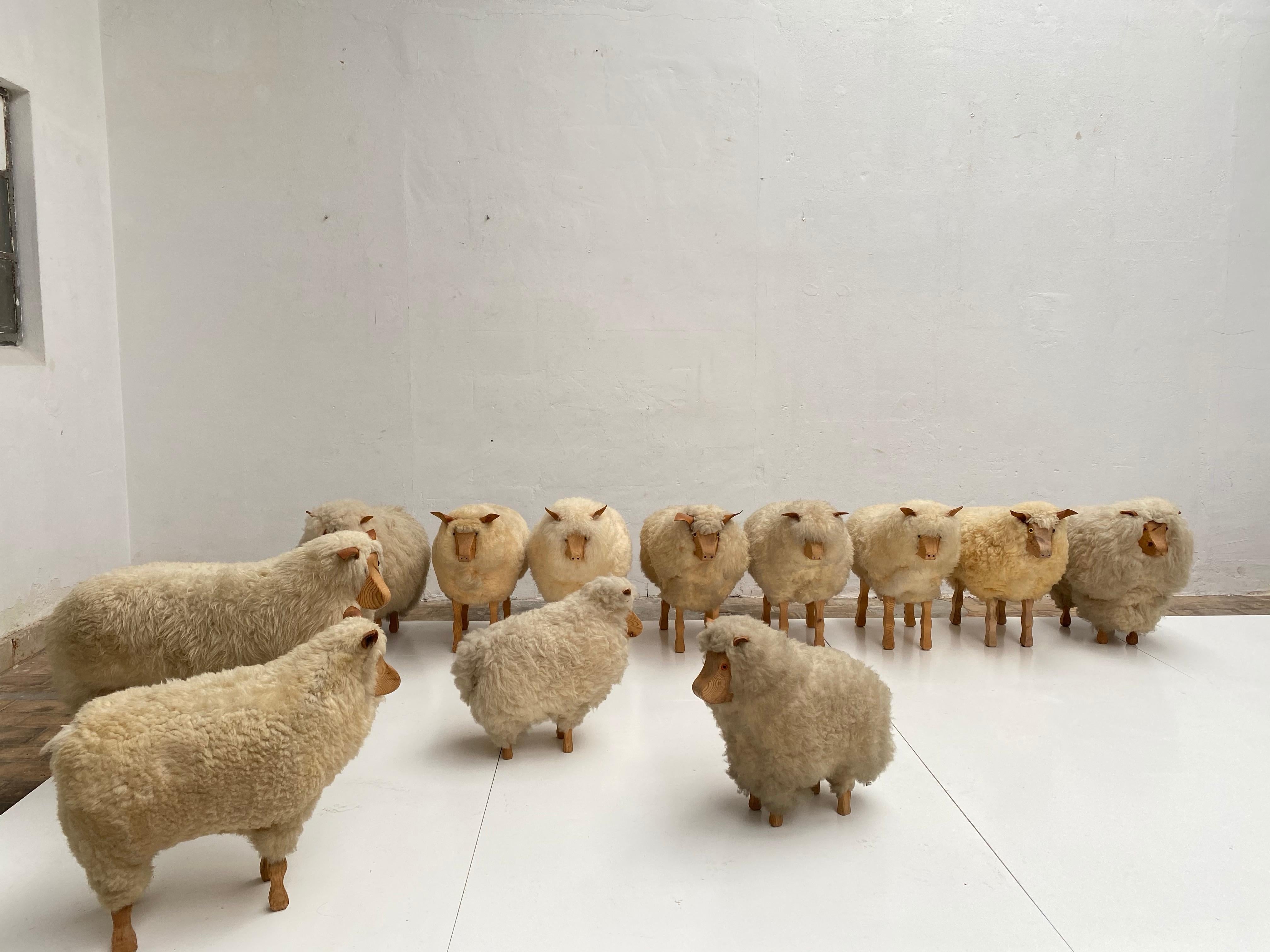 Dozen of Sheep Midcentury Genuine Sheep Wool and Carved Pinewood, Germany, 1970s 7