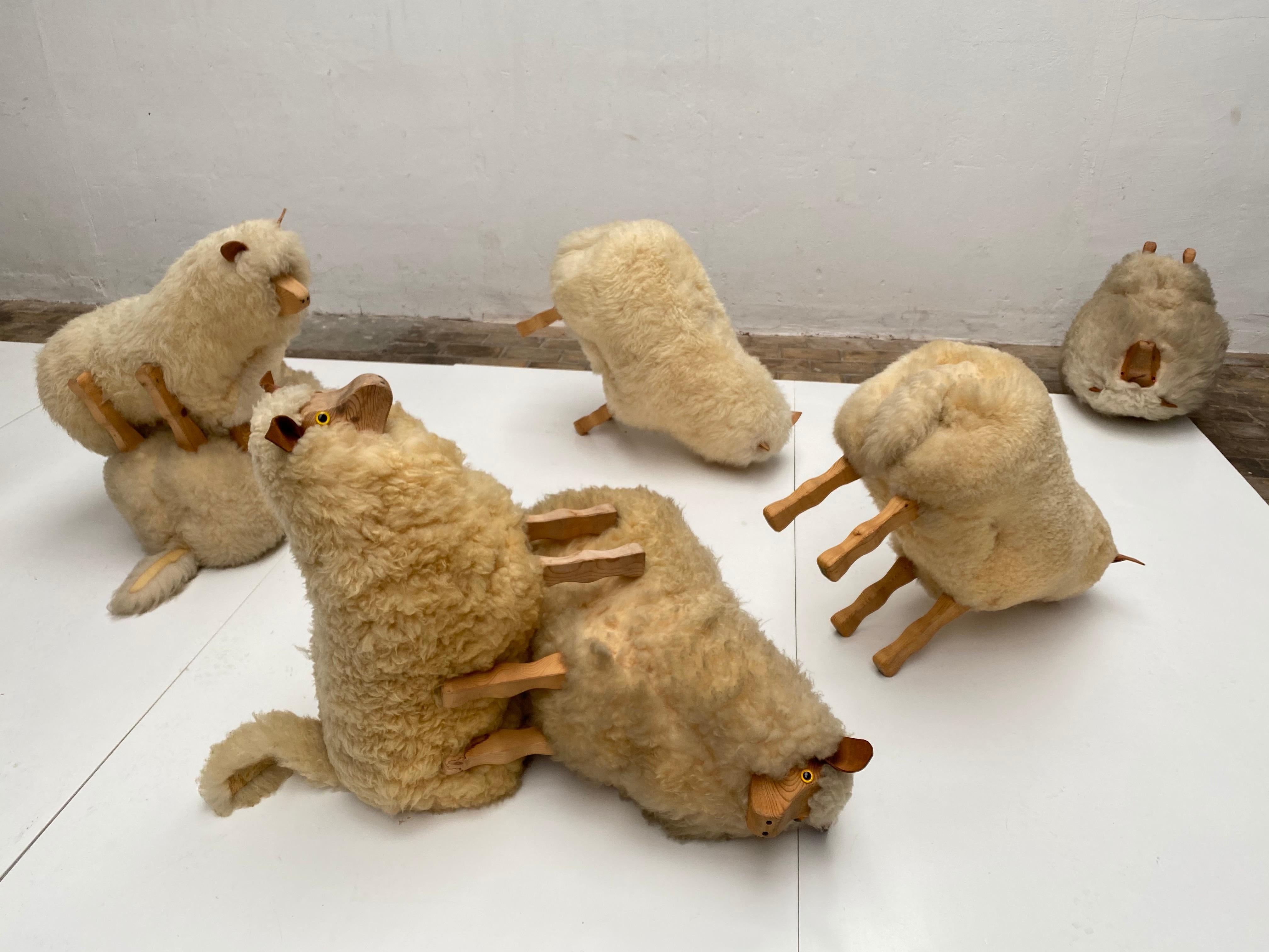 Dozen of Sheep Midcentury Genuine Sheep Wool and Carved Pinewood, Germany, 1970s 12
