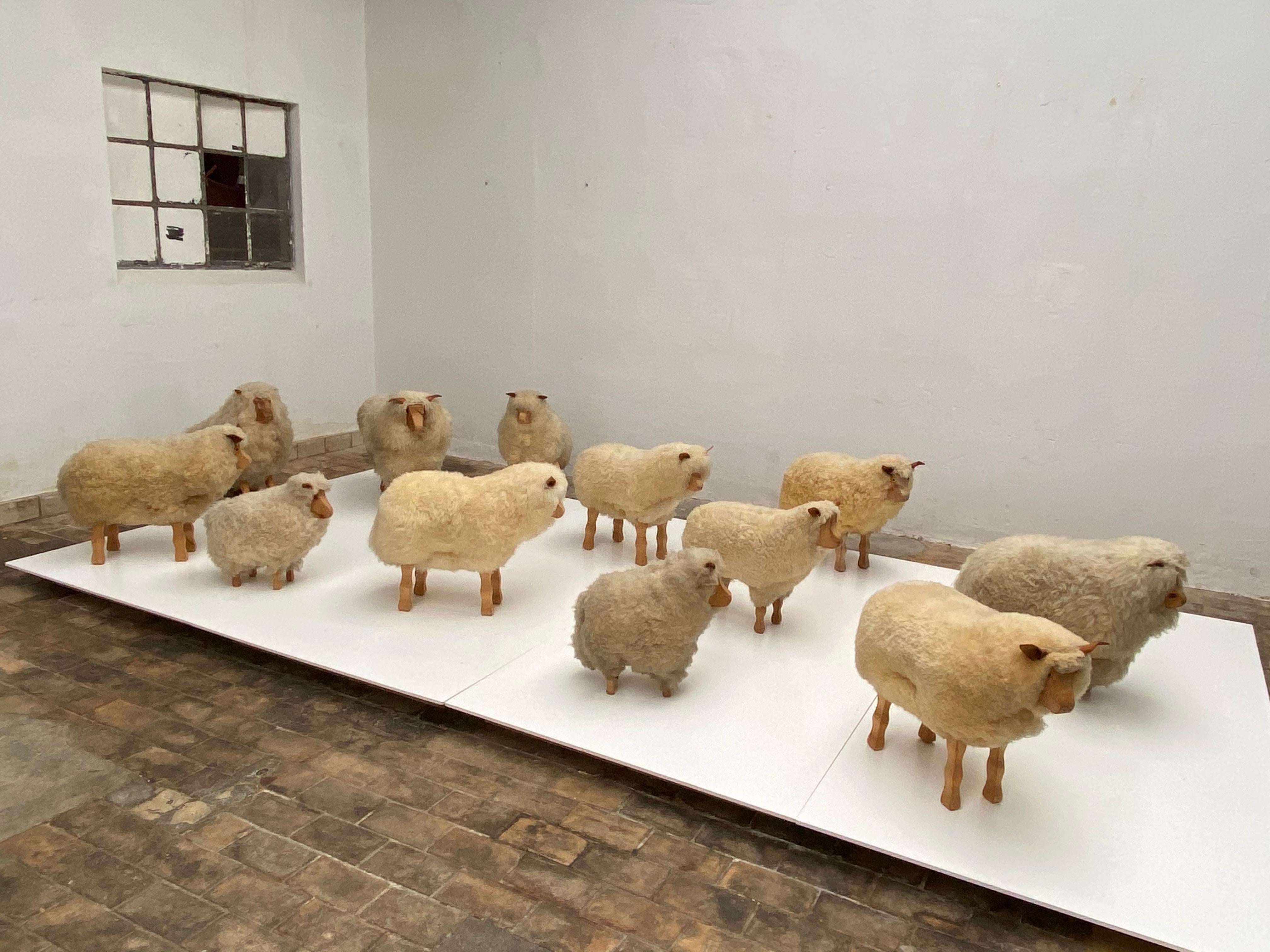 Dozen of Sheep Midcentury Genuine Sheep Wool and Carved Pinewood, Germany, 1970s 1