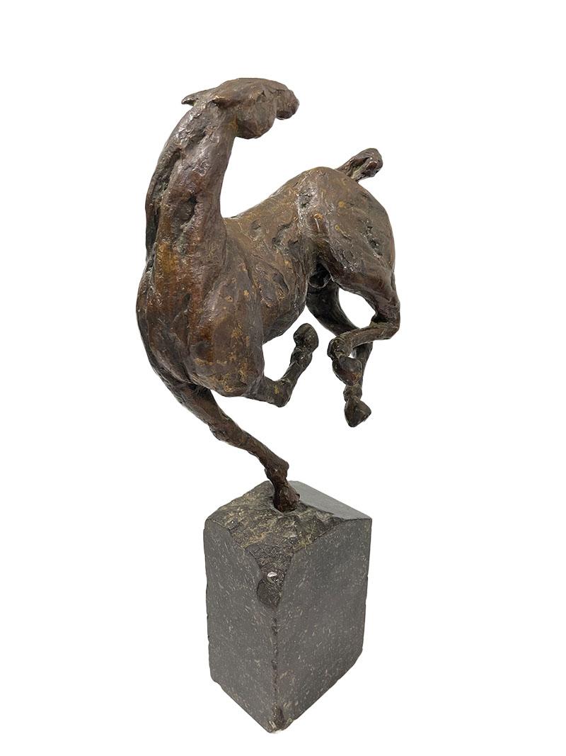 A Dutch bronze sculpture of a horse.

A bronze horse on a base, by Evert Arensman. Evert Arensman a Dutch visual artist, started weaving tapestries and makes classical, portraits and horses in bronze and does photography. The exhibitions of