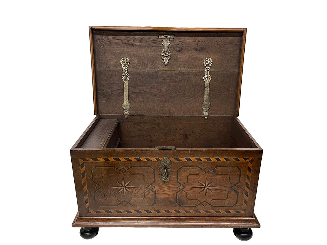 A Dutch Oak blanket chest with intarsia pigeon pattern, ca 1870-1890 For Sale 1