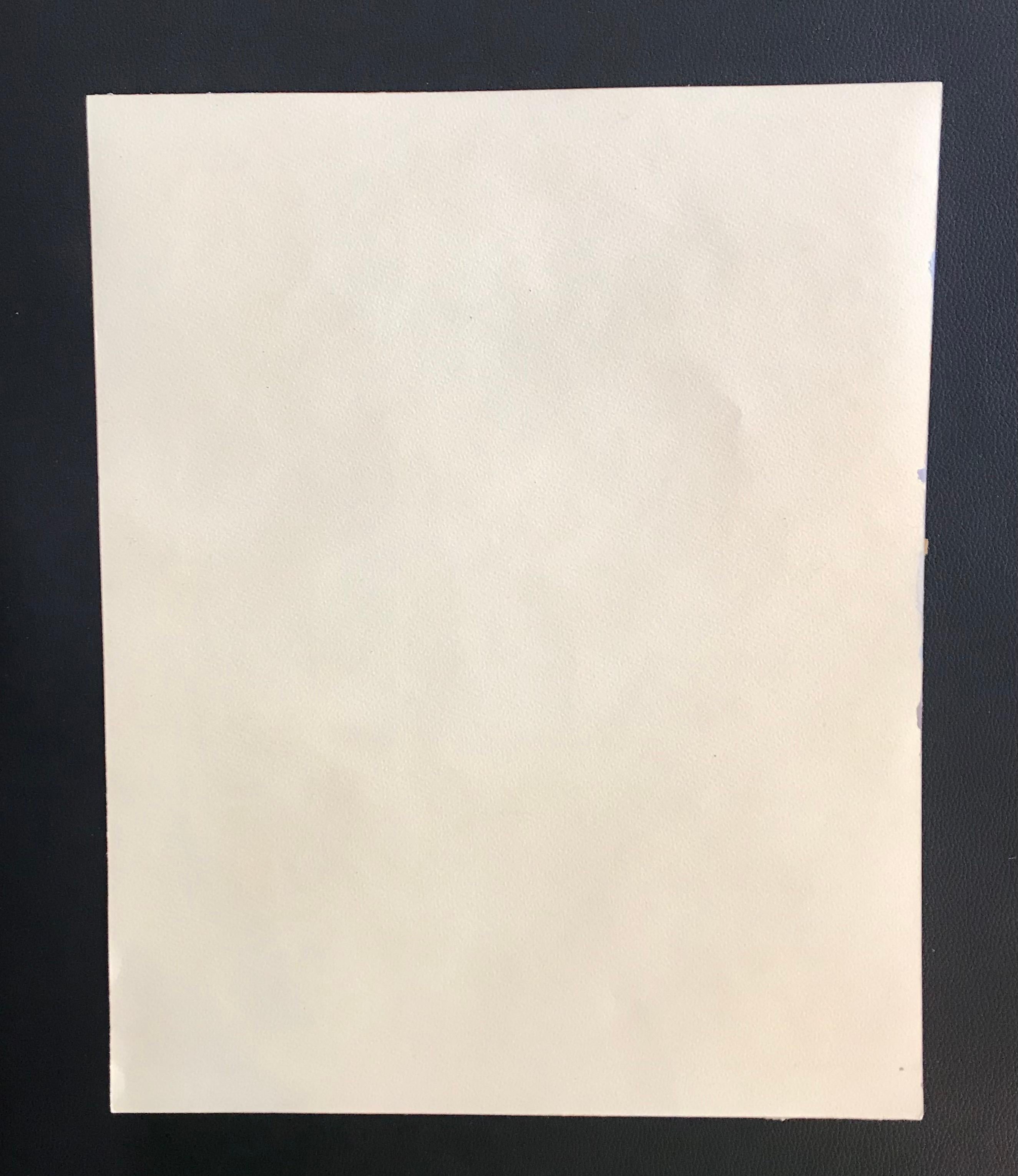 Campo de A. Ecuyer - Gouache sobre papel 30x37 cm en venta 7