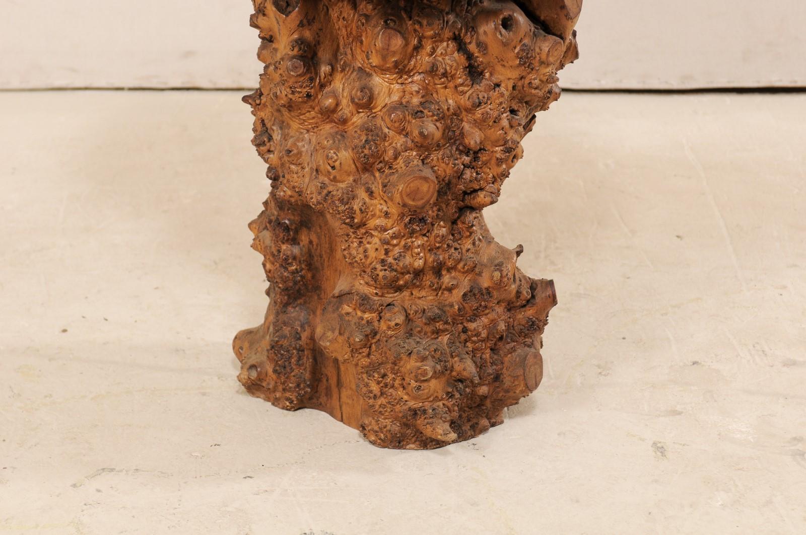 European Live-Edge Burl Side Table with Slab Top & Knobby Texture, Early 20th C. For Sale 5