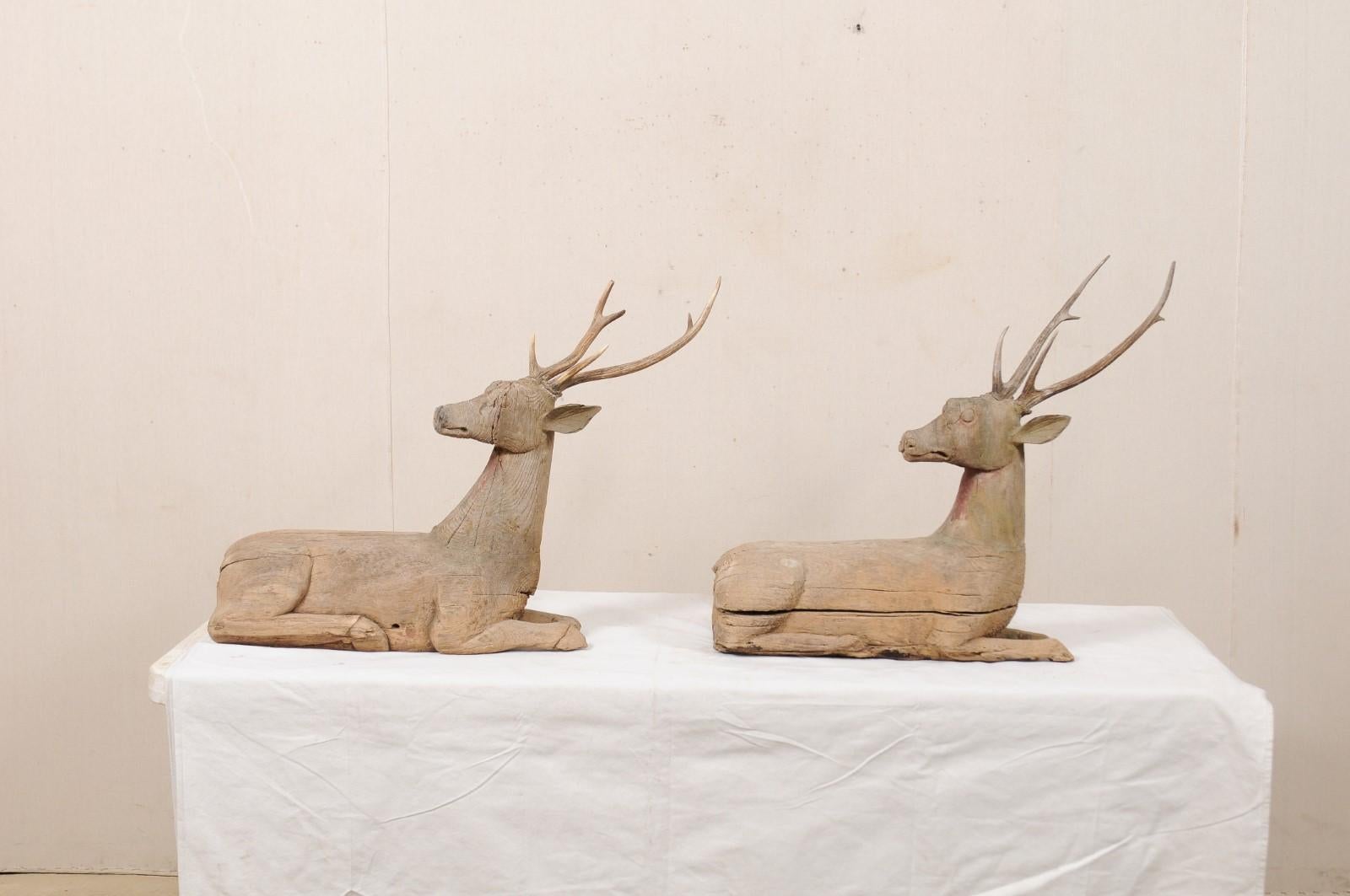 Fabulous Pair of 19th C. British Colonial Hand Carved Wood Deer with Antlers 3