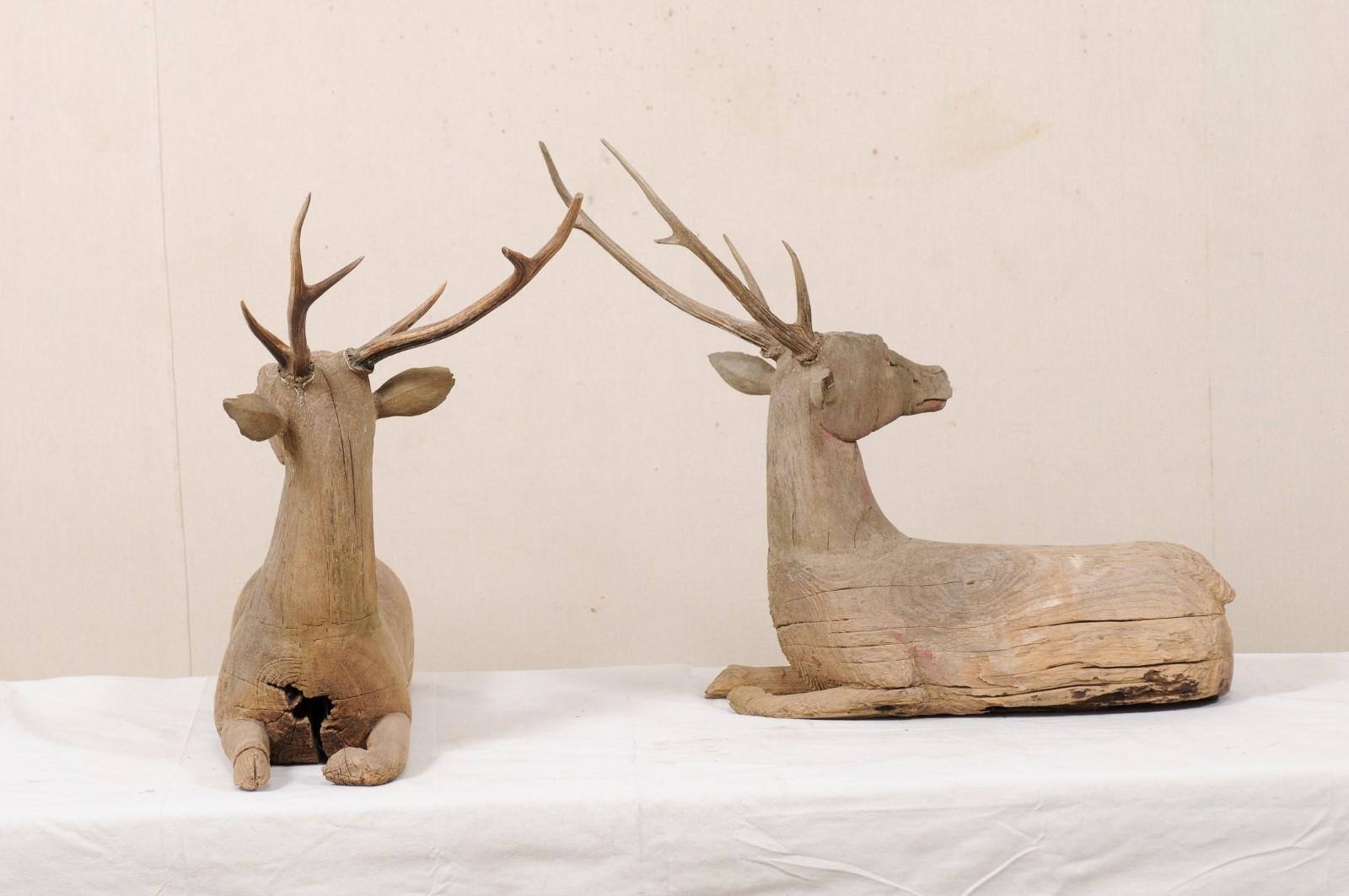 19th Century Fabulous Pair of 19th C. British Colonial Hand Carved Wood Deer with Antlers