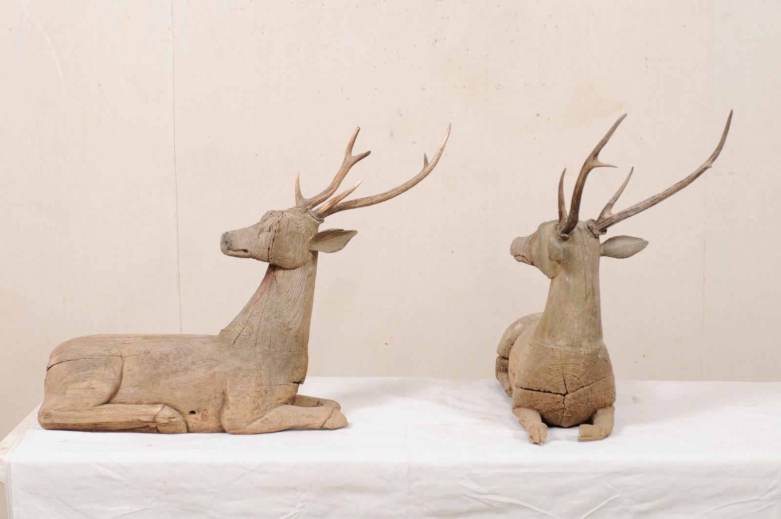 Fabulous Pair of 19th C. British Colonial Hand Carved Wood Deer with Antlers 1