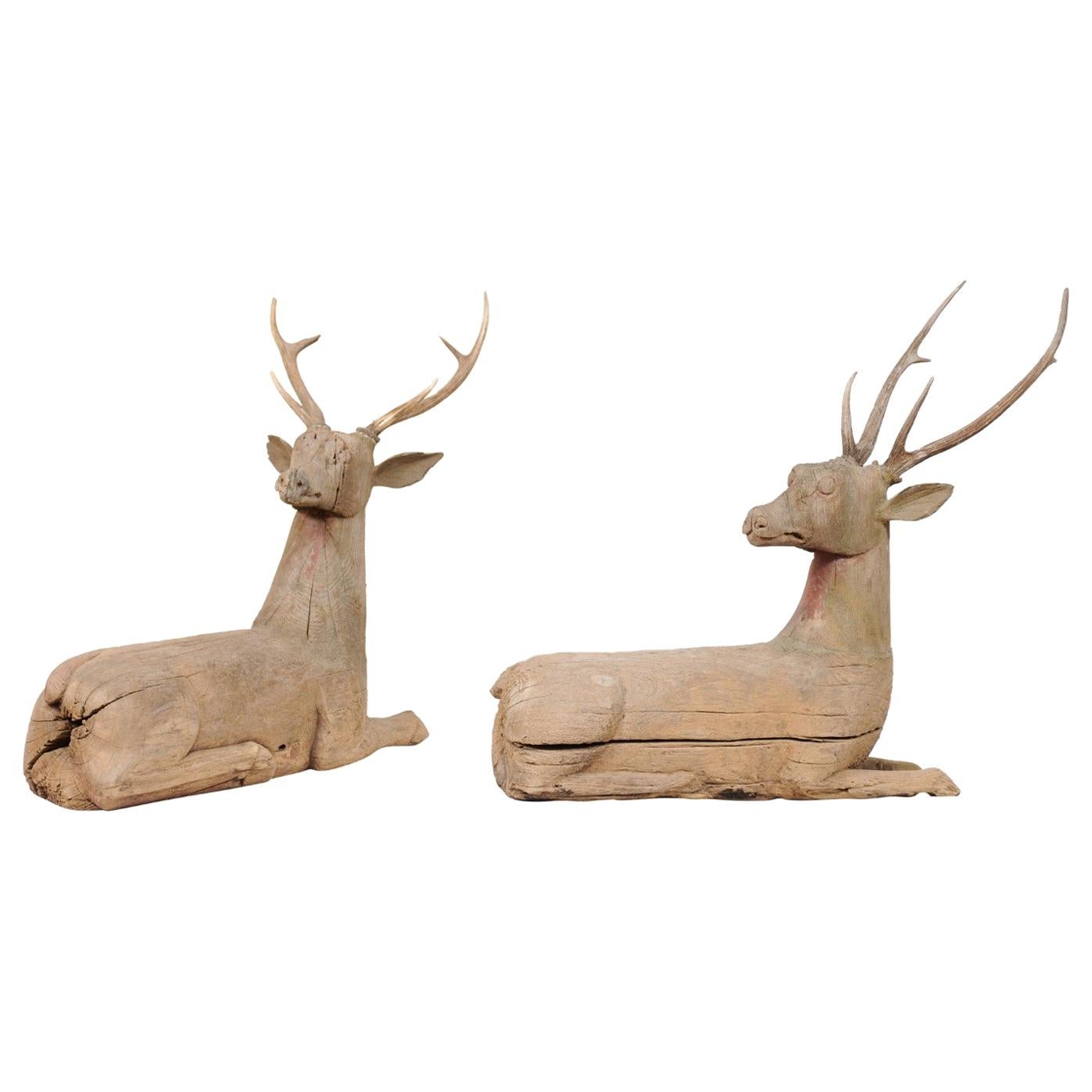 Fabulous Pair of 19th C. British Colonial Hand Carved Wood Deer with Antlers