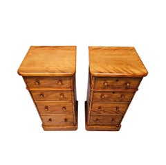 A Fabulous Pair of 19th Century Bedside Chests