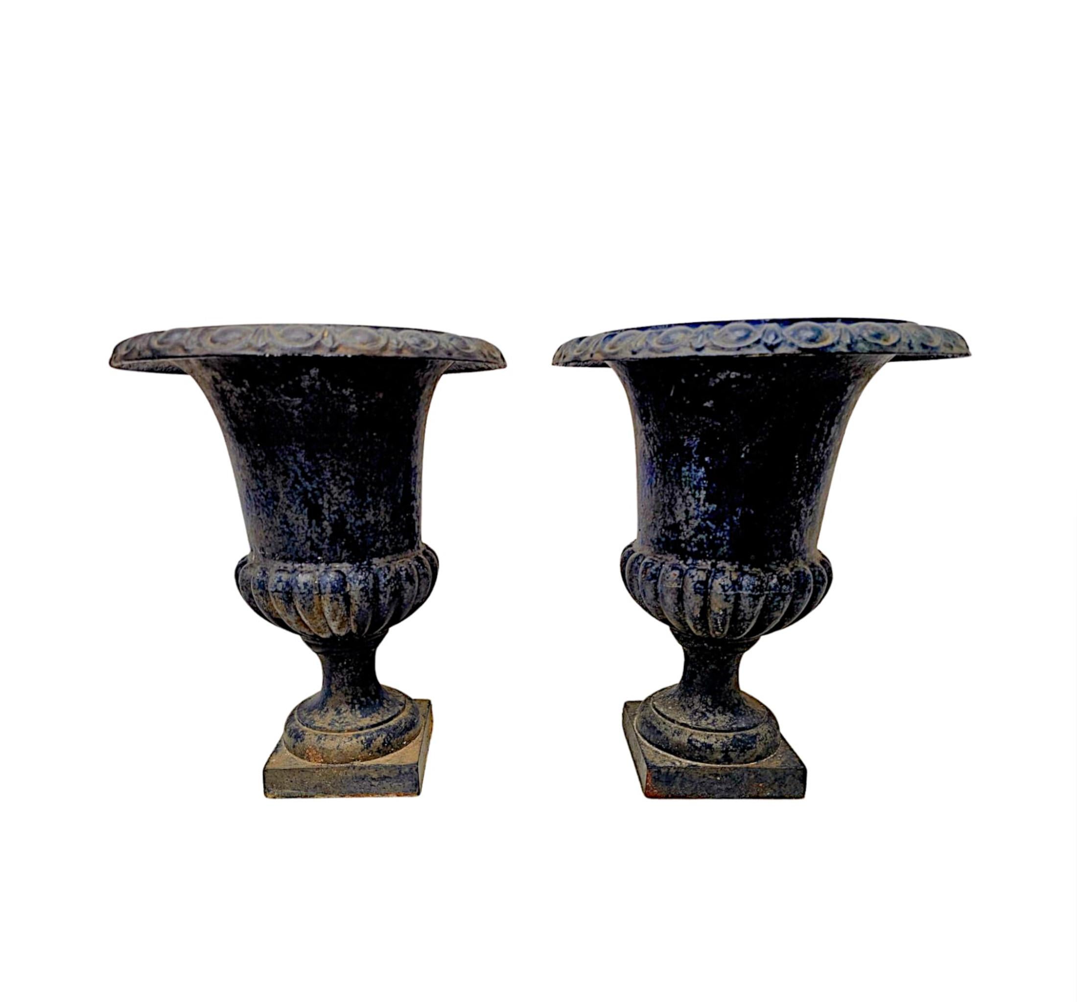 English A Fabulous Pair of 19th Century Large Heavy Cast Iron Garden Urns For Sale