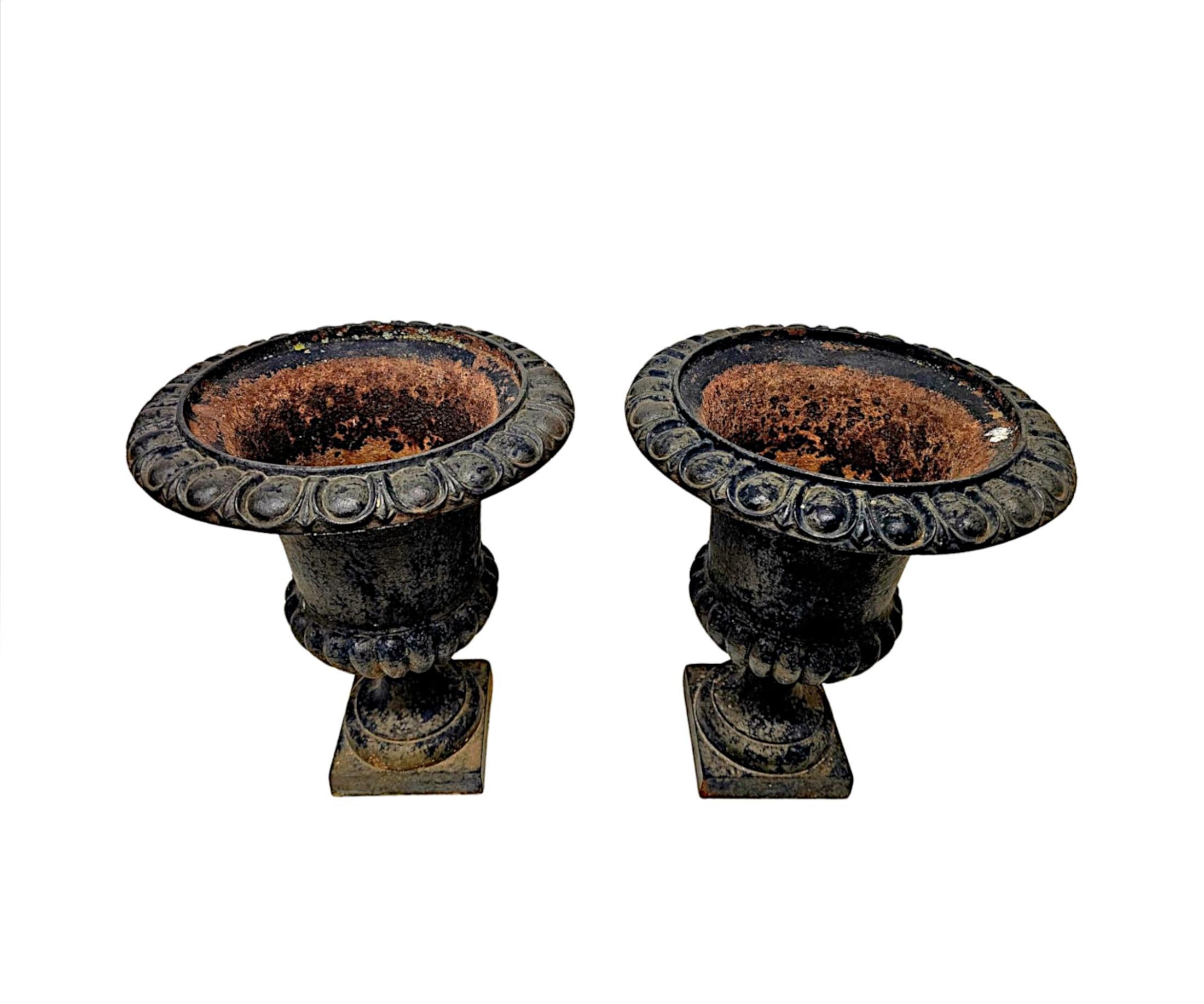 A Fabulous Pair of 19th Century Large Heavy Cast Iron Garden Urns For Sale 1