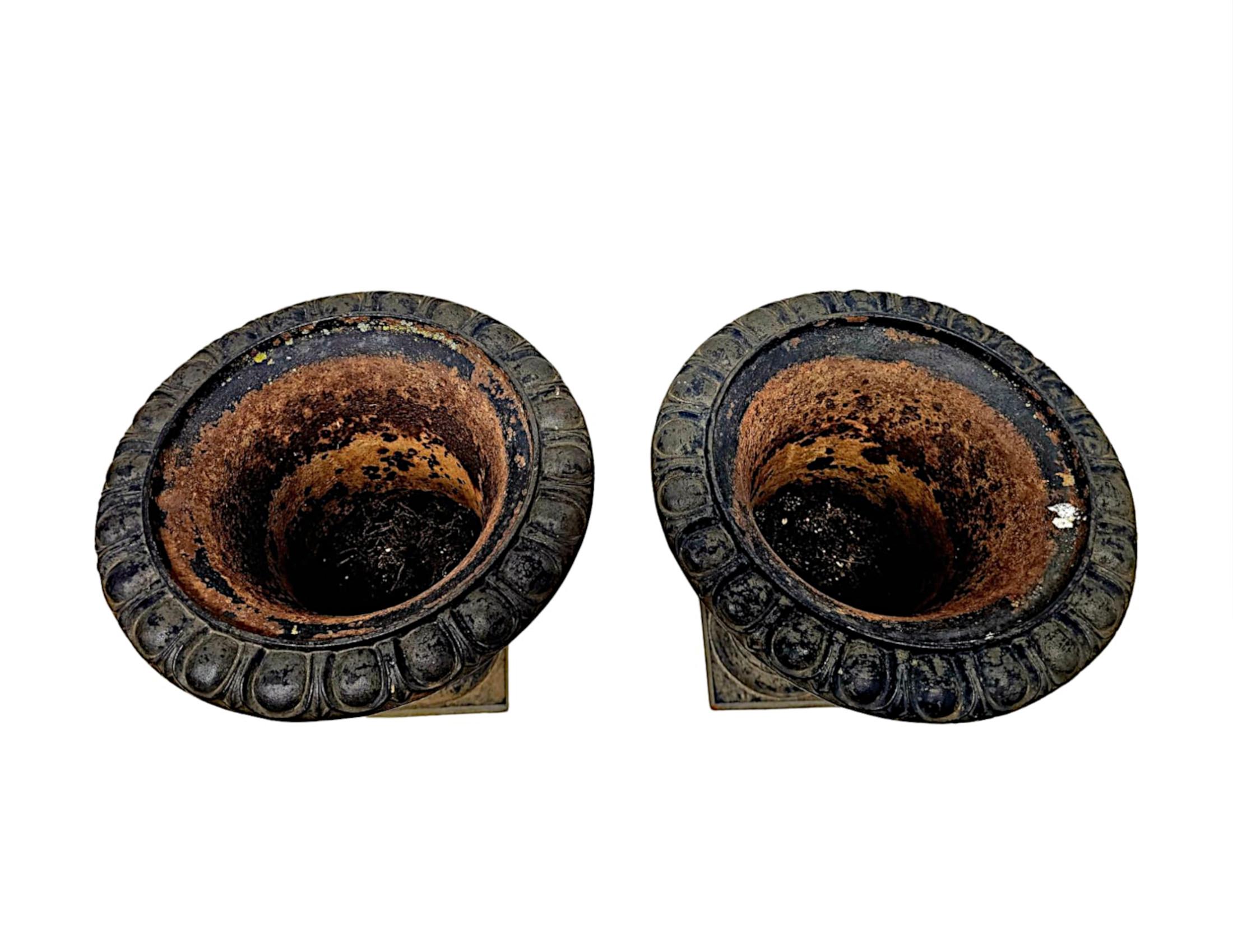 A Fabulous Pair of 19th Century Large Heavy Cast Iron Garden Urns For Sale 2