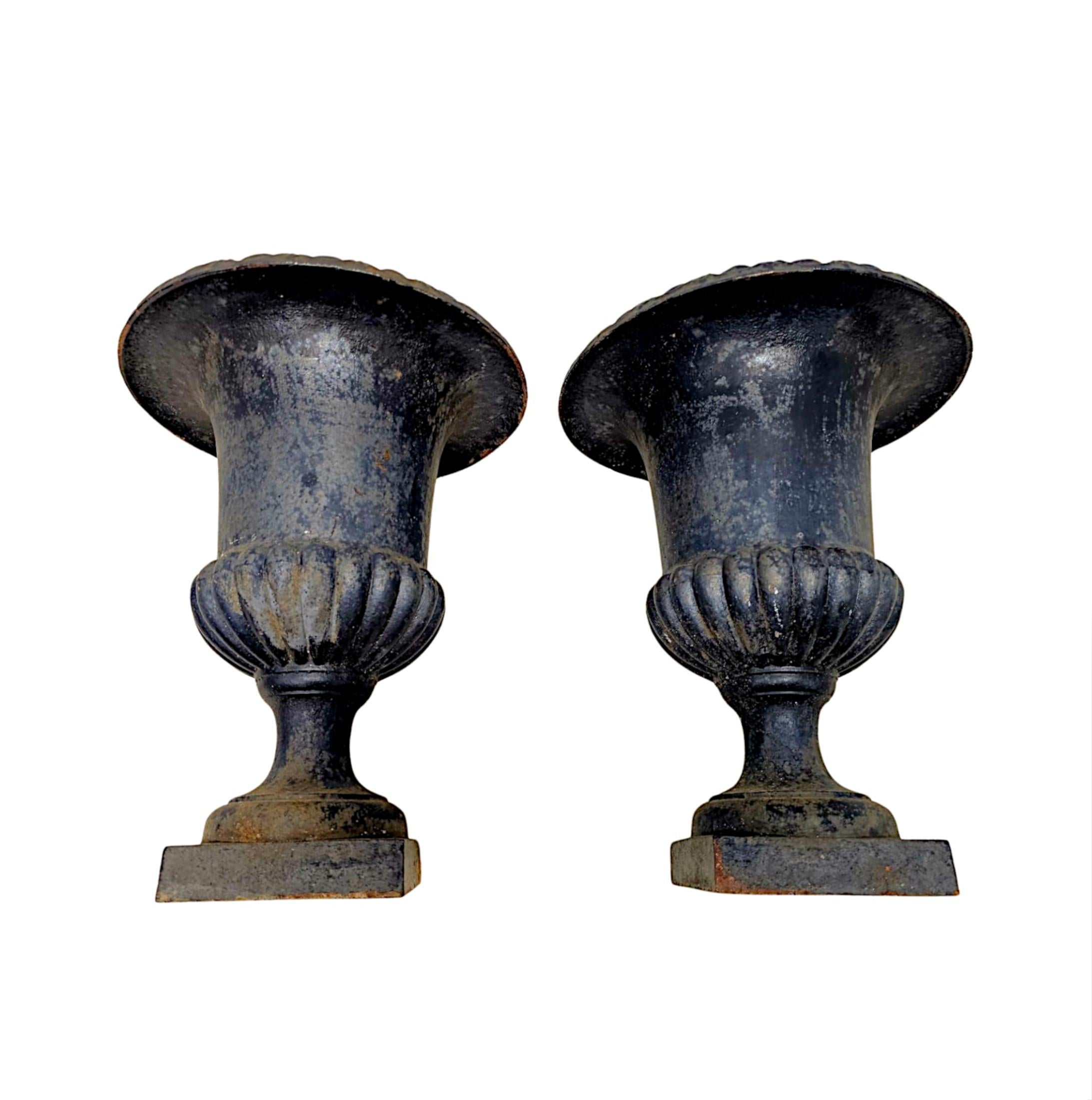 A Fabulous Pair of 19th Century Large Heavy Cast Iron Garden Urns For Sale 3