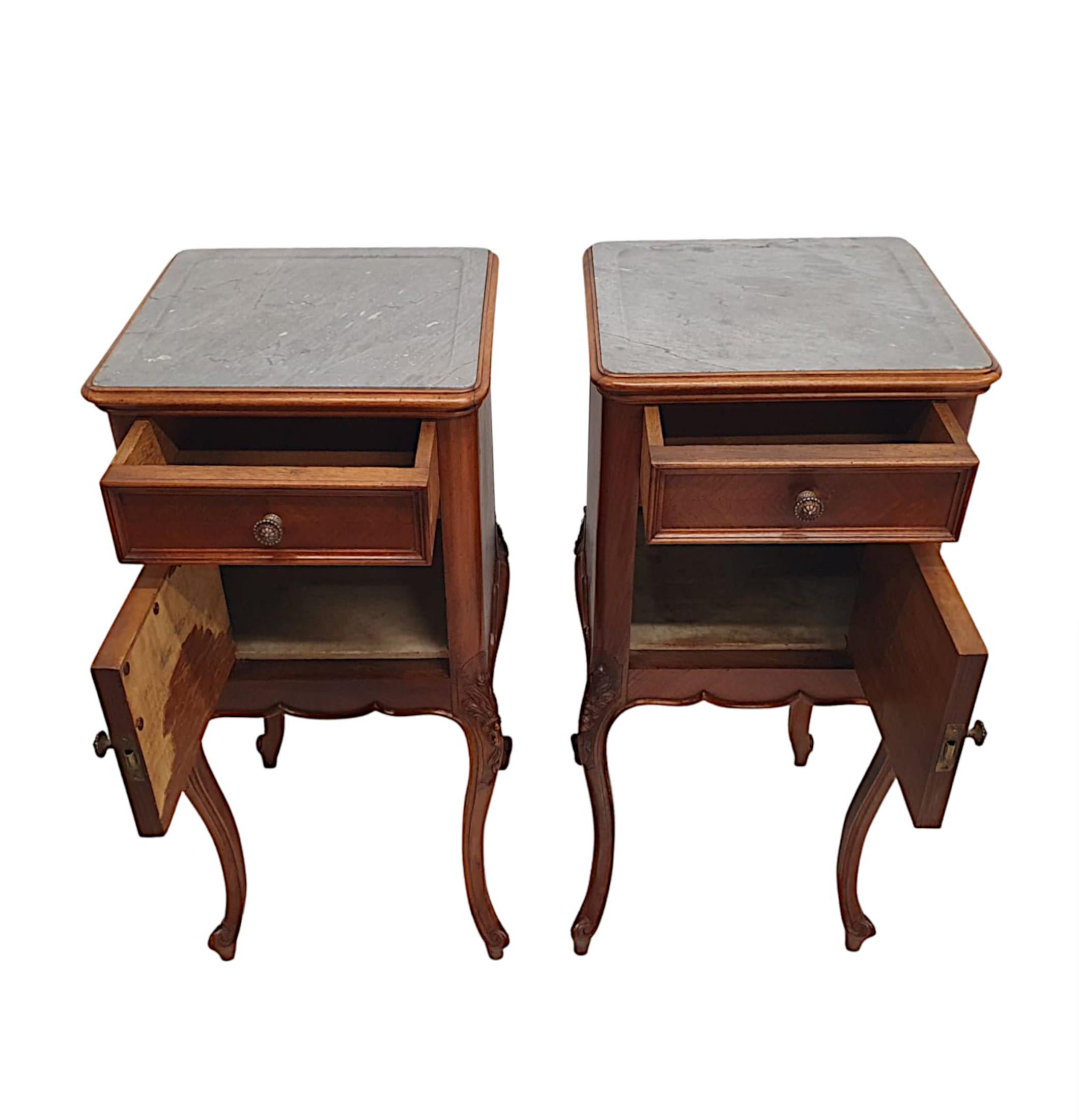 A Fabulous Pair of 19th Century Marble Top Bedside Tables  In Good Condition For Sale In Dublin, IE