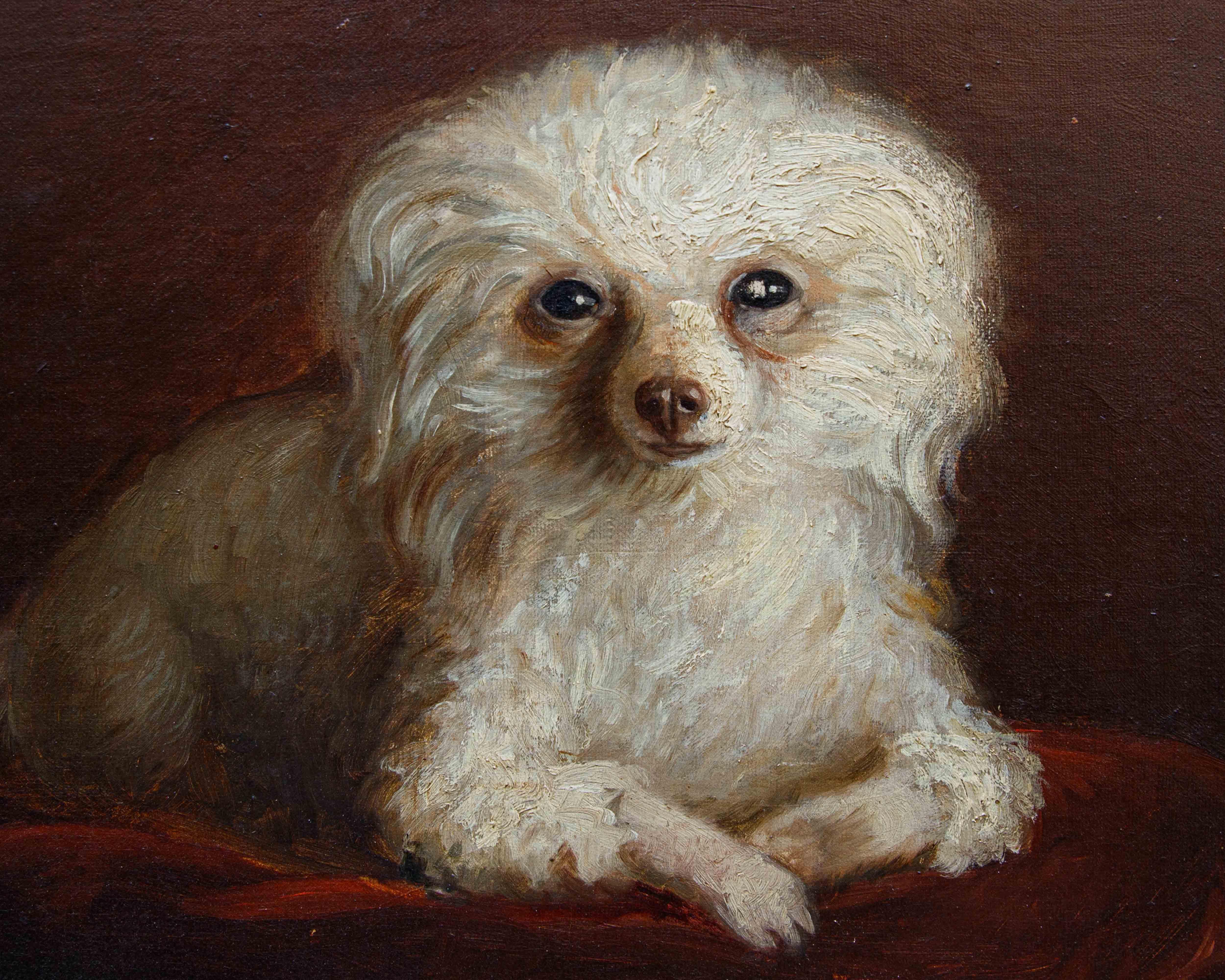 Di A. Fallol, Ritratto di Barboncino For Sale 1