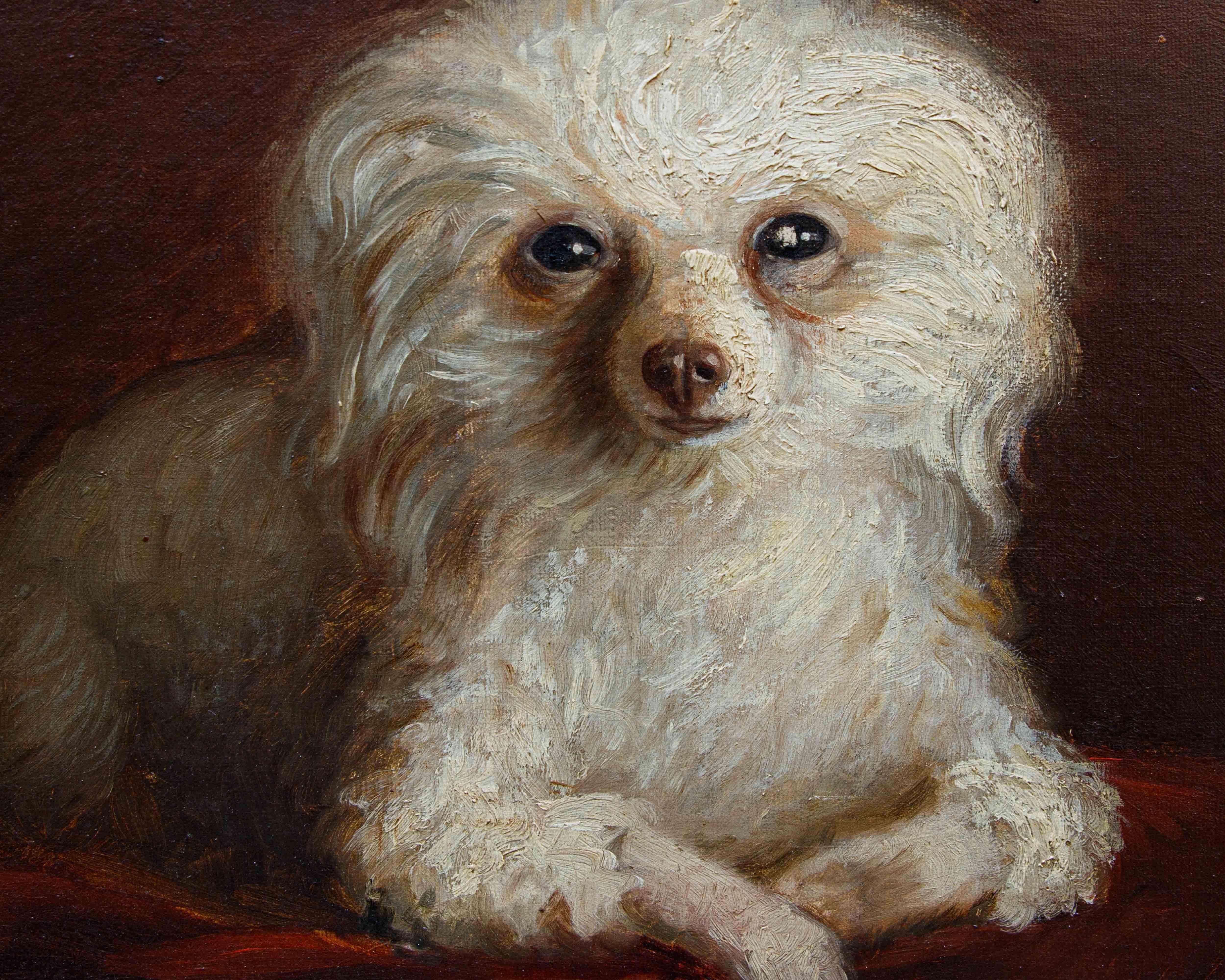Di A. Fallol, Ritratto di Barboncino For Sale 2