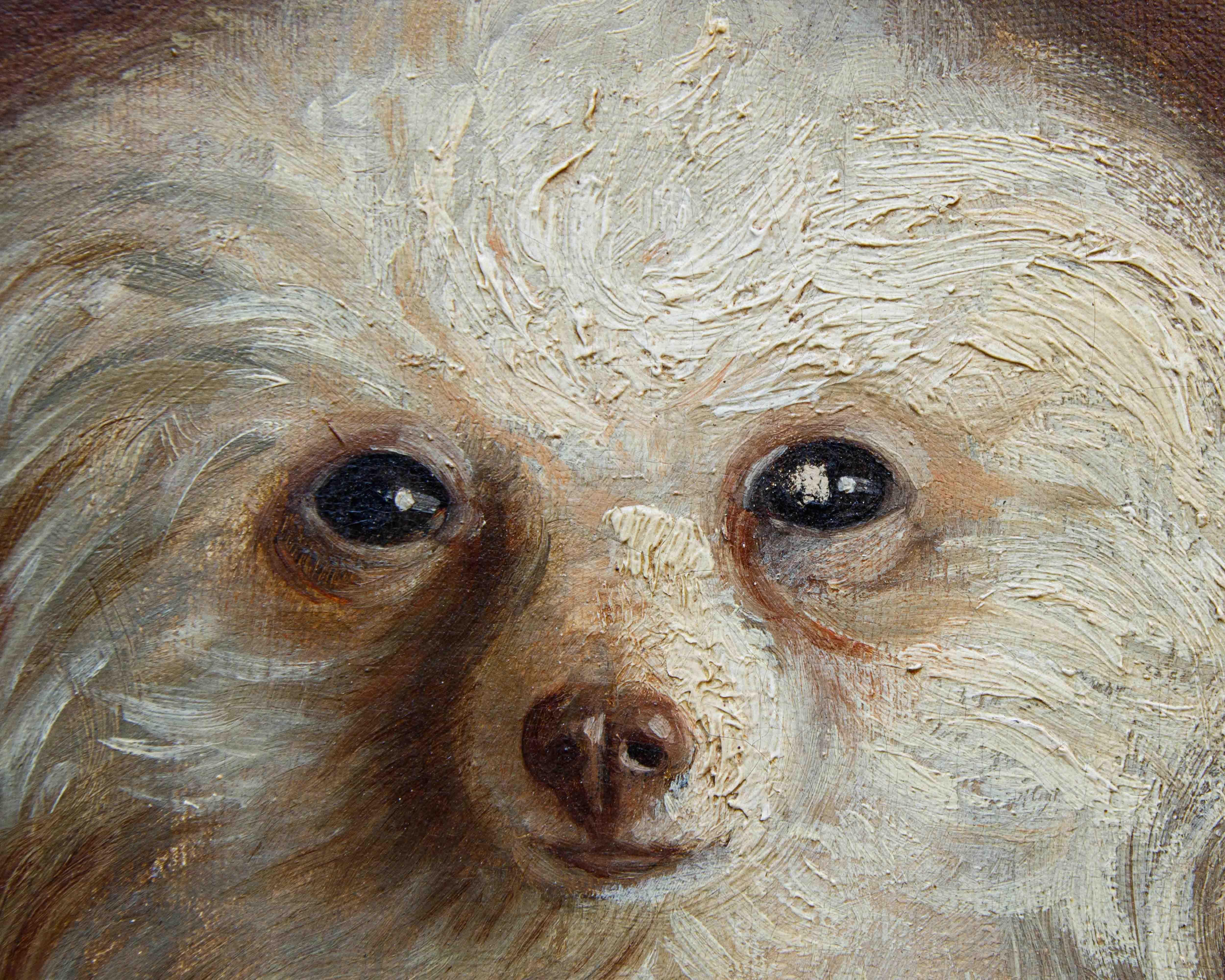 Di A. Fallol, Ritratto di Barboncino For Sale 4